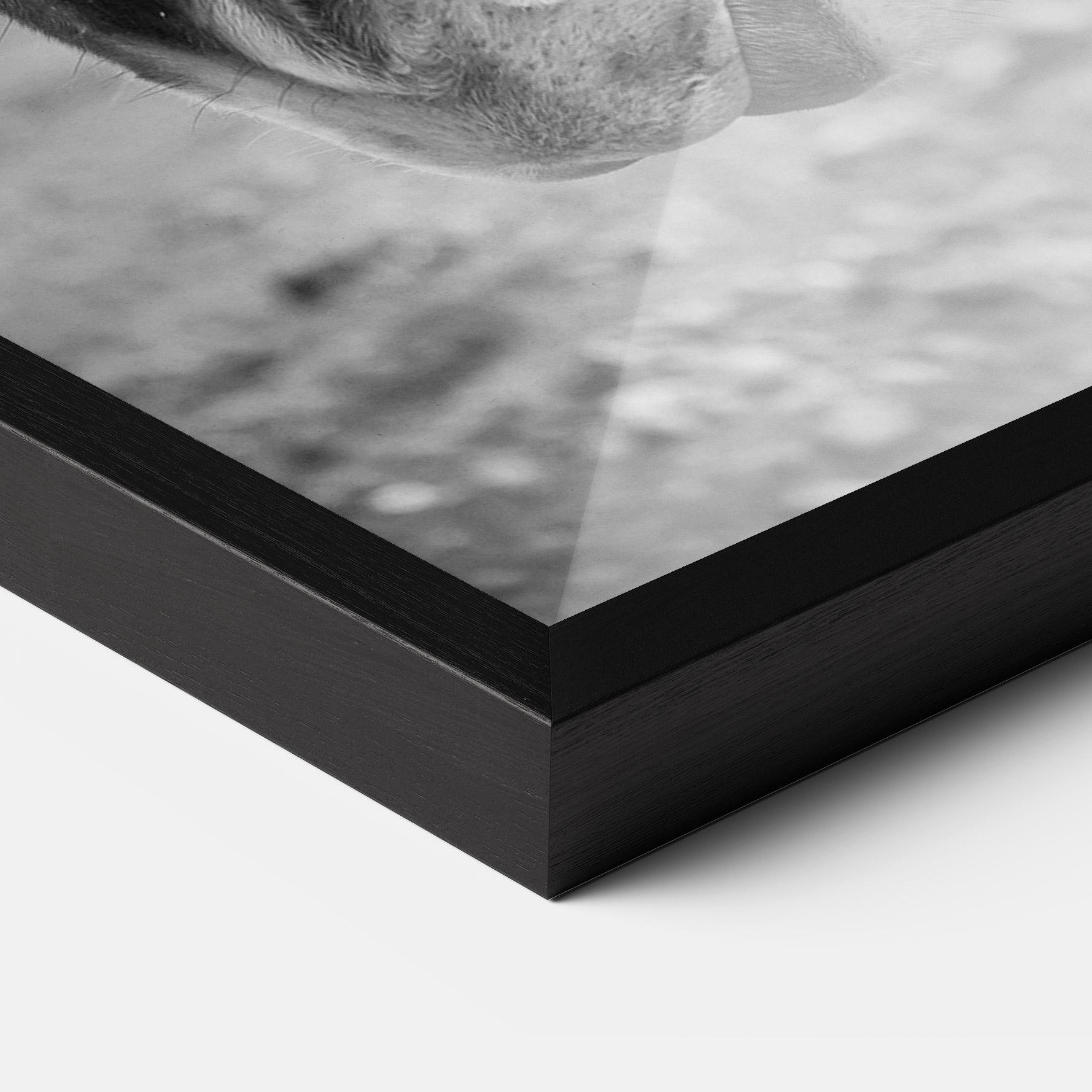 Рамкиран постер Gray Horse Head mockup 3