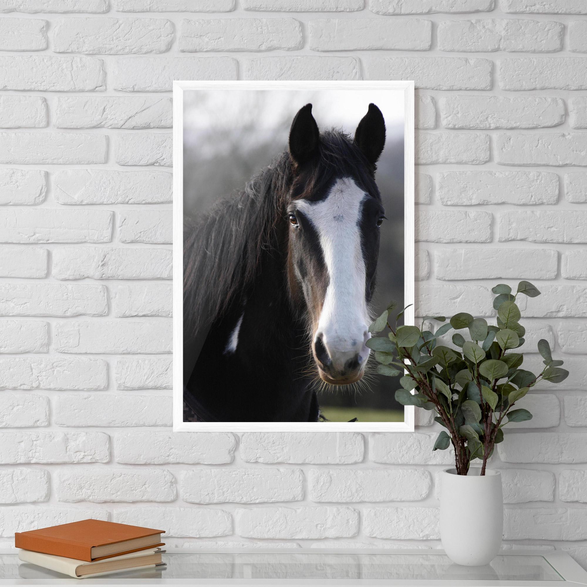 Рамкиран постер Horse Black Portrait mockup 5