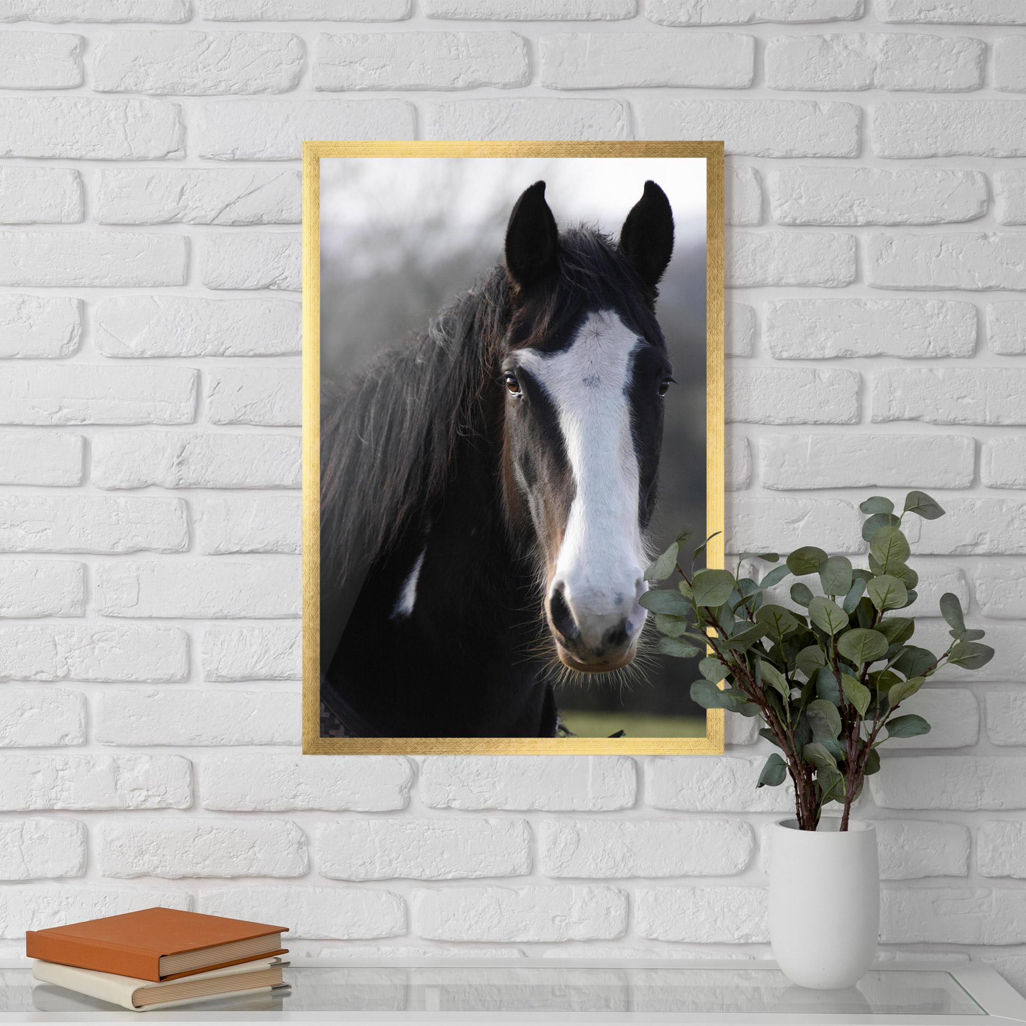 Рамкиран постер Horse Black Portrait mockup 5