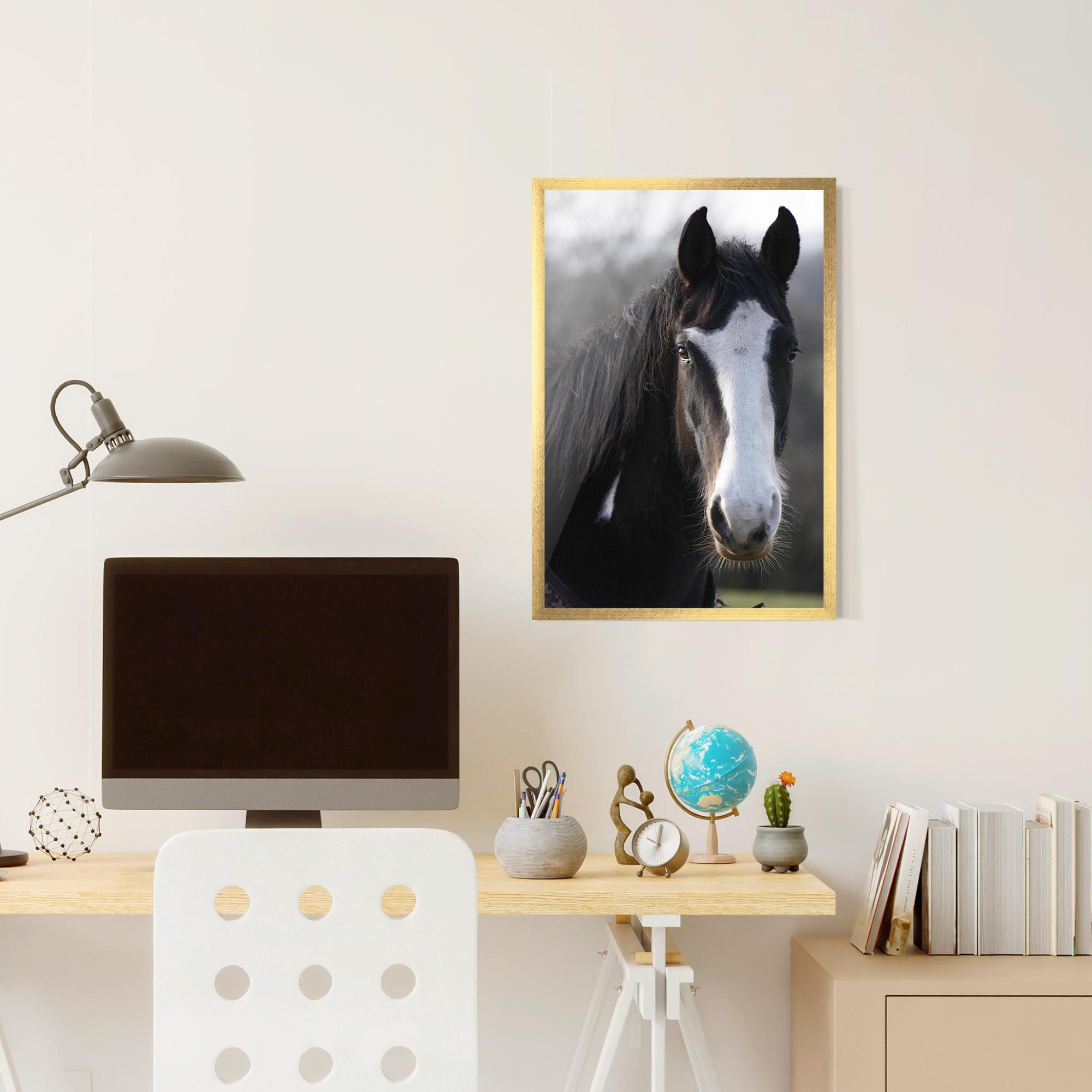 Рамкиран постер Horse Black Portrait mockup 6