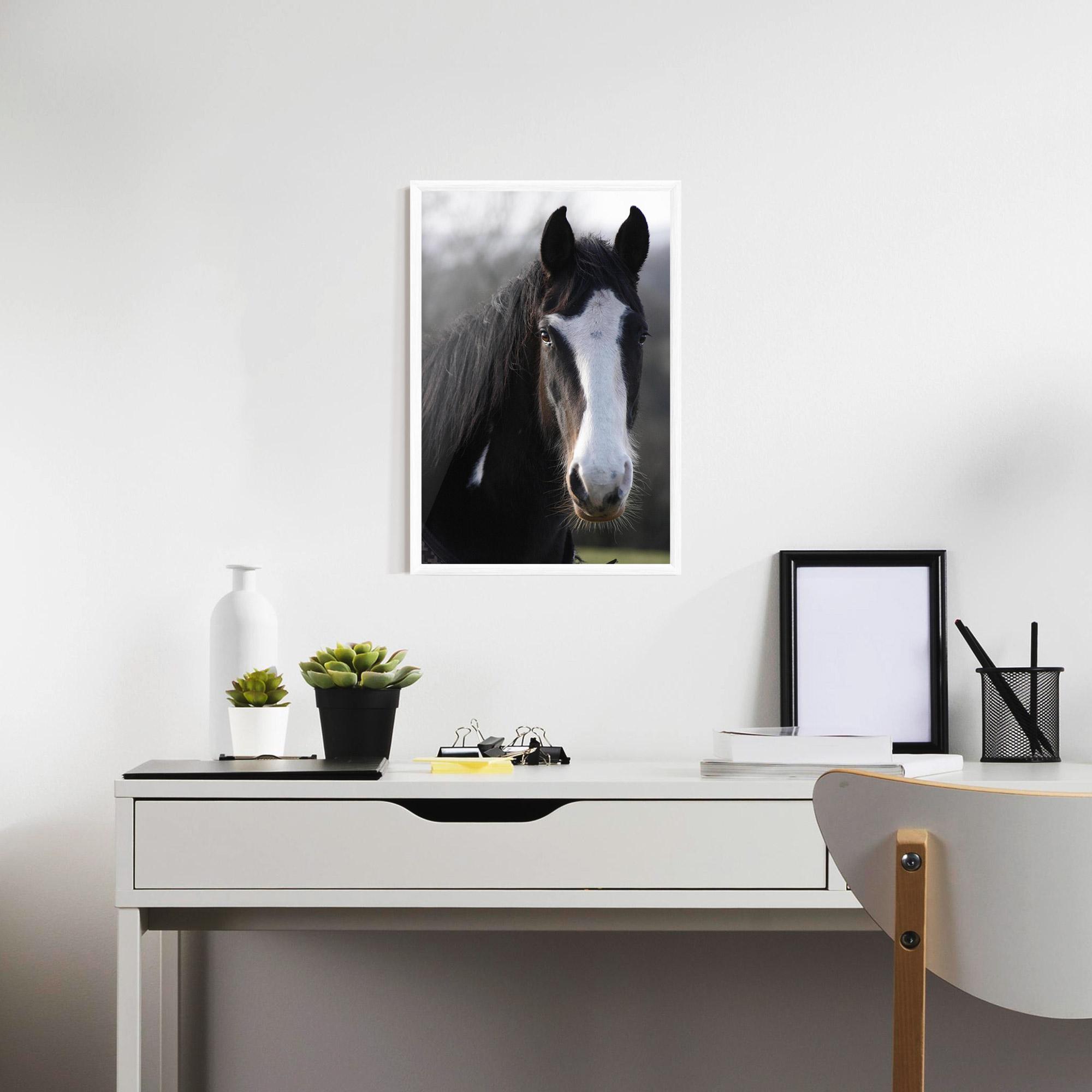 Рамкиран постер Horse Black Portrait mockup 7