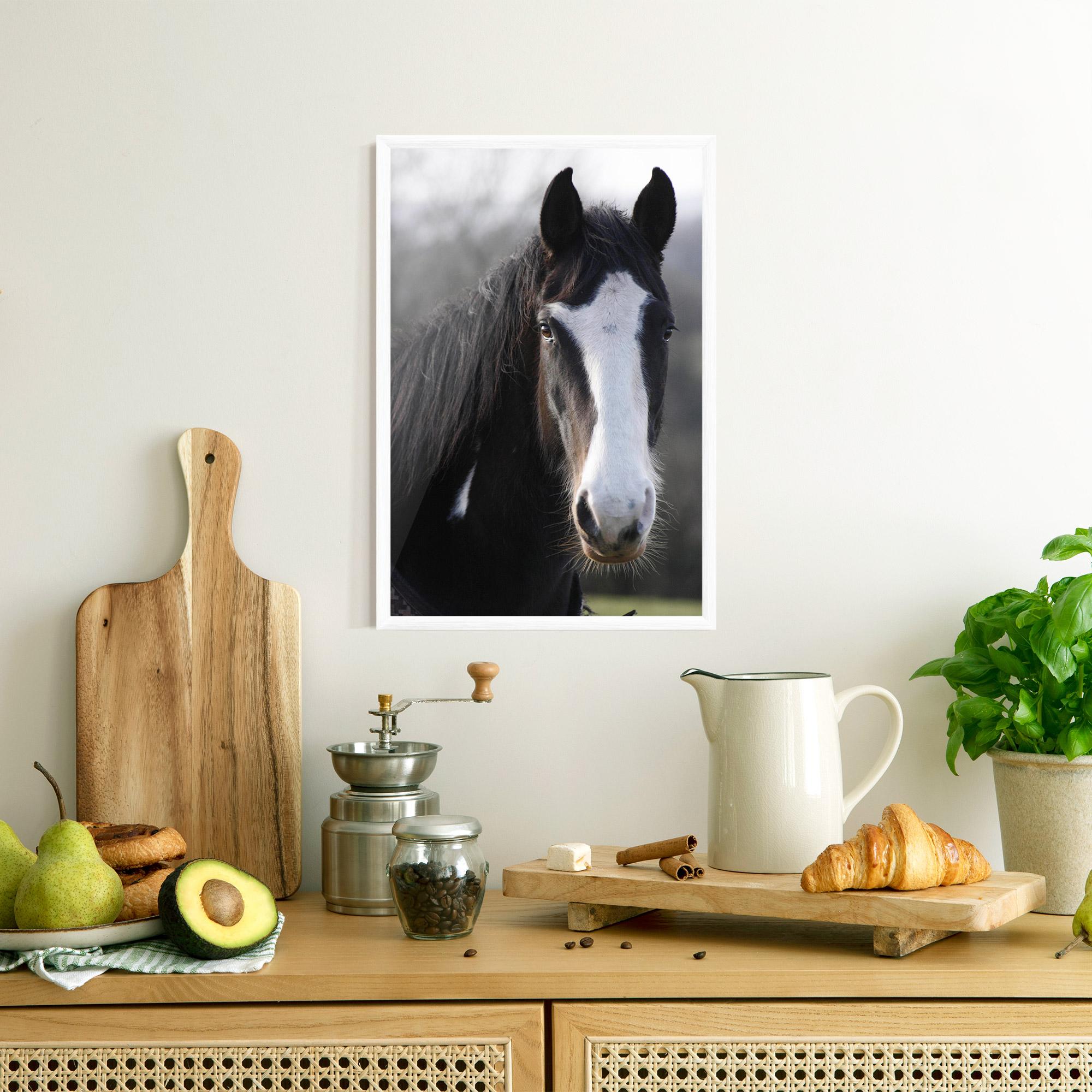 Рамкиран постер Horse Black Portrait mockup 8