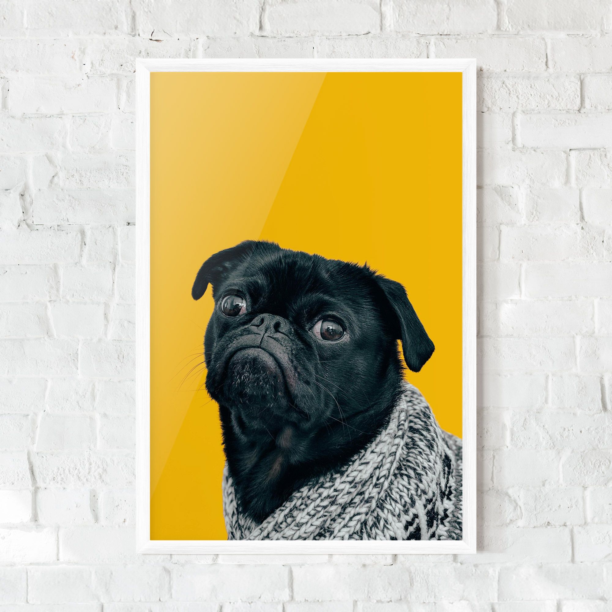 Black Pug mockup 0