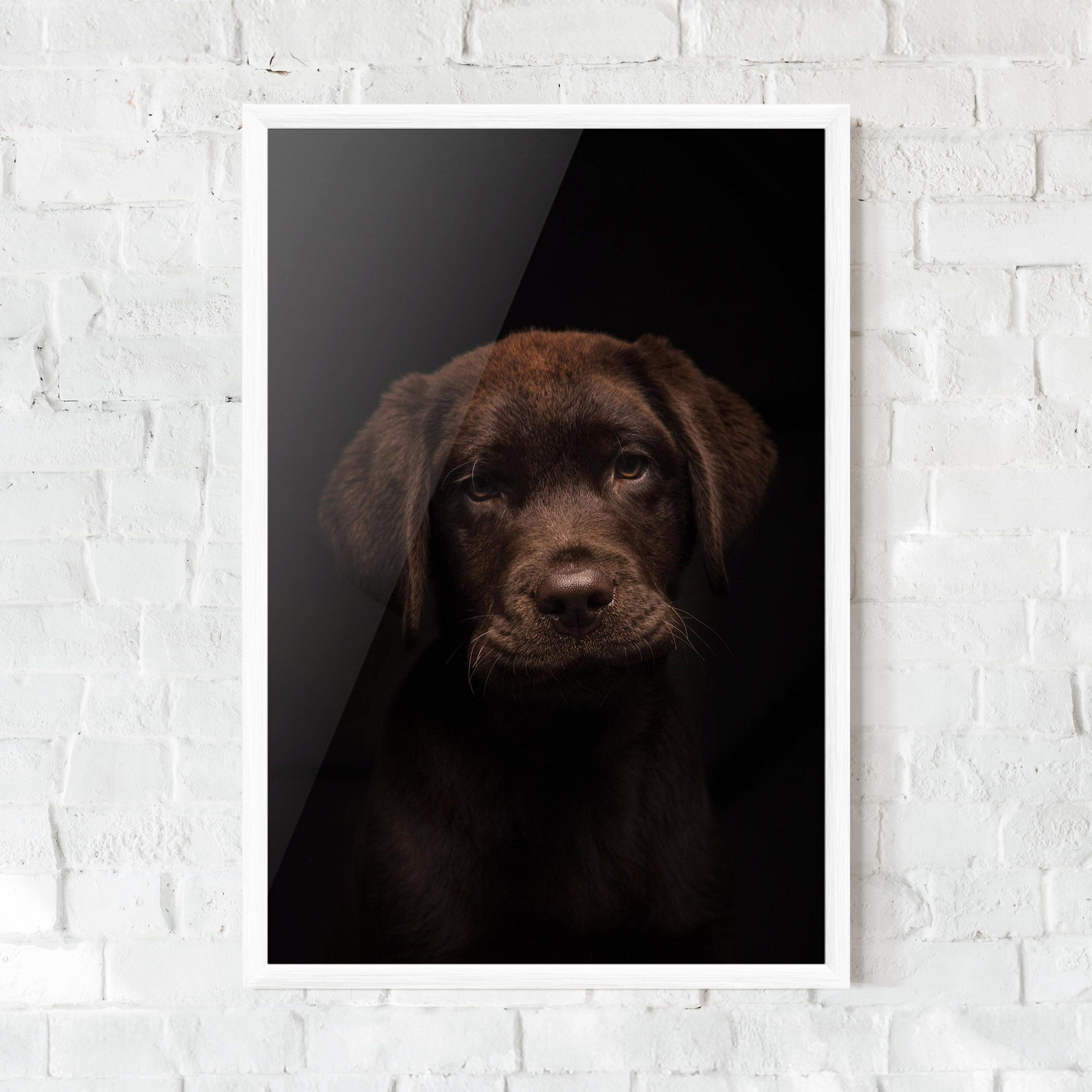 Chocolate Labrador mockup 0