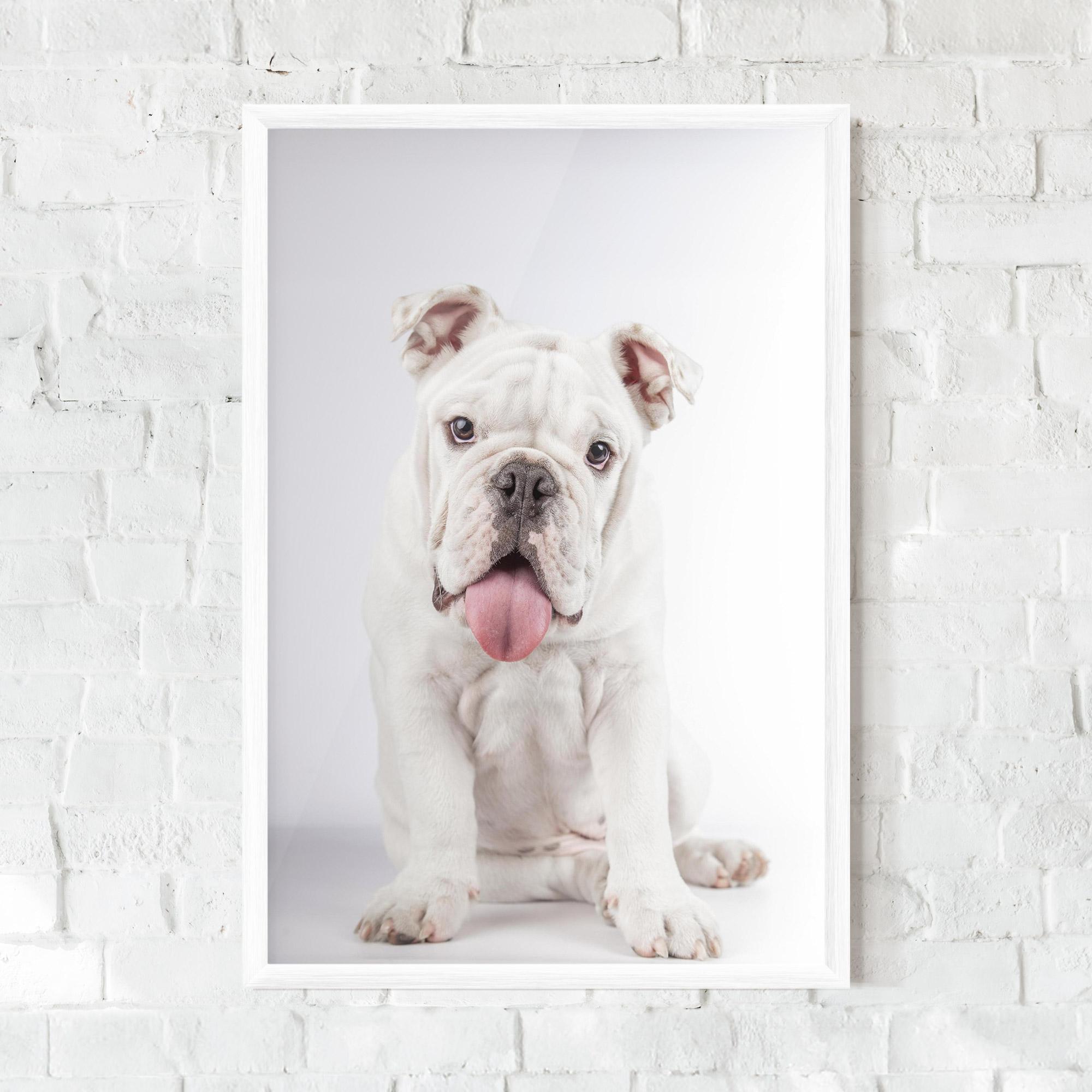 Рамкиран постер English Bulldog mockup 0