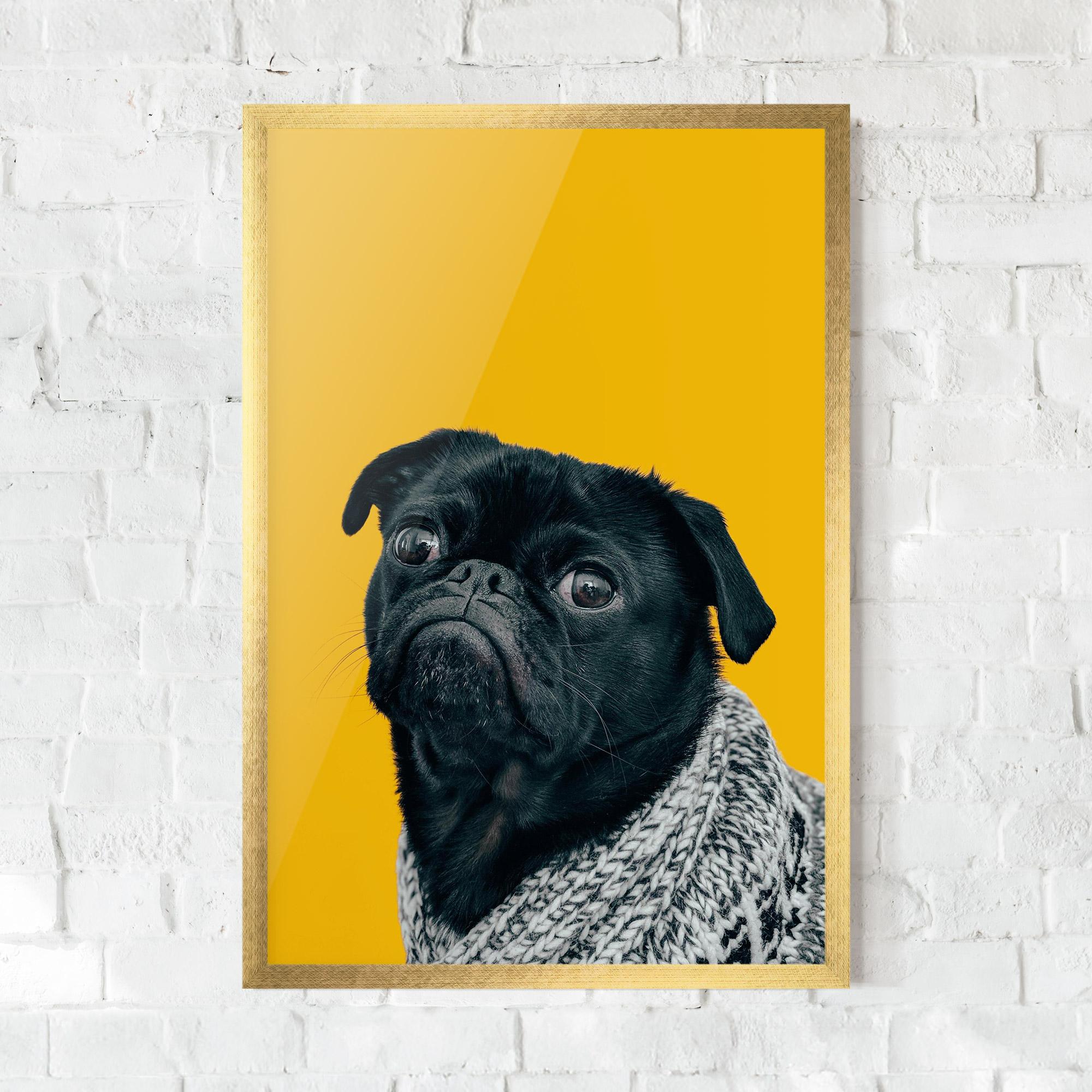 Рамкиран постер Black Pug mockup 0