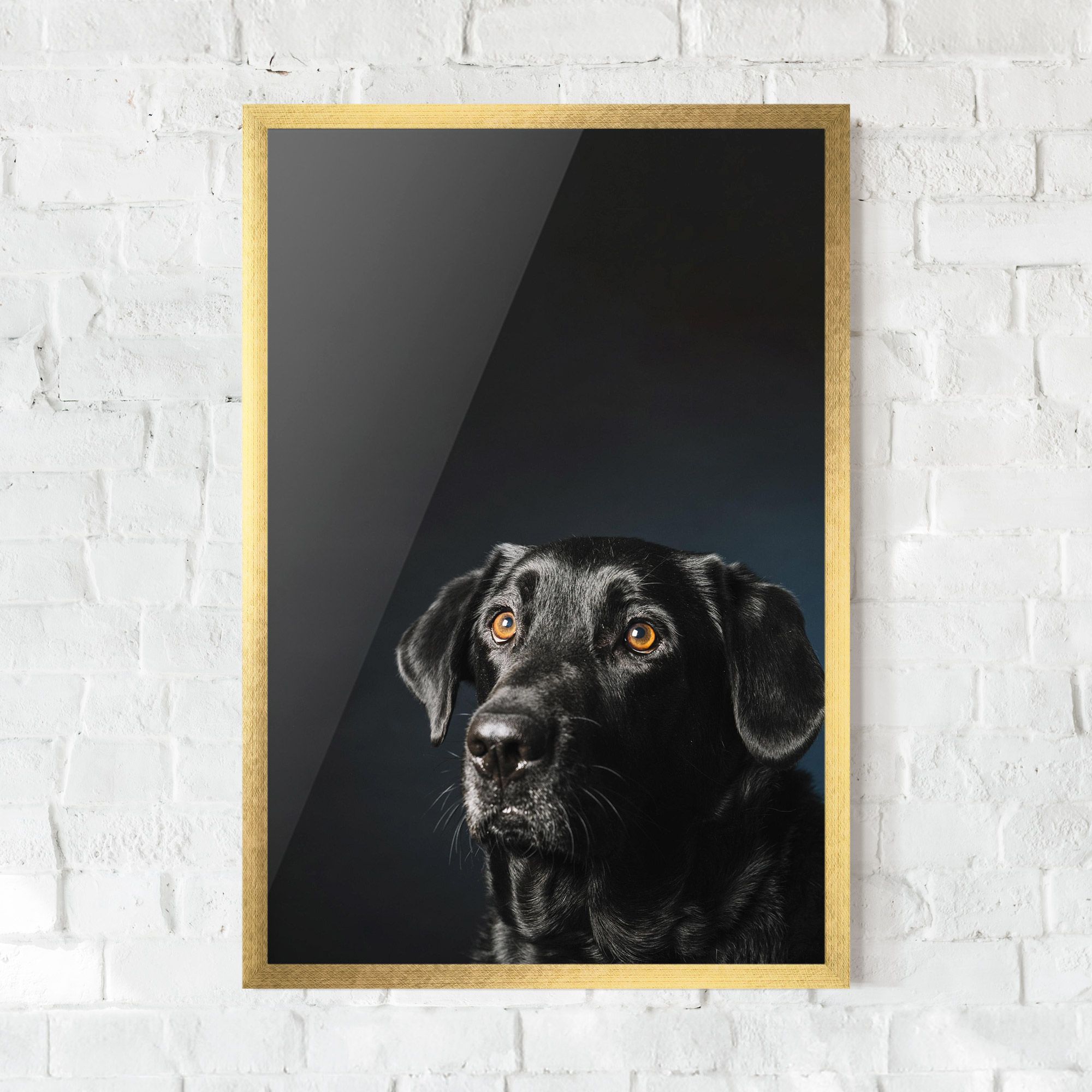 Brown Eyes Dog mockup 0