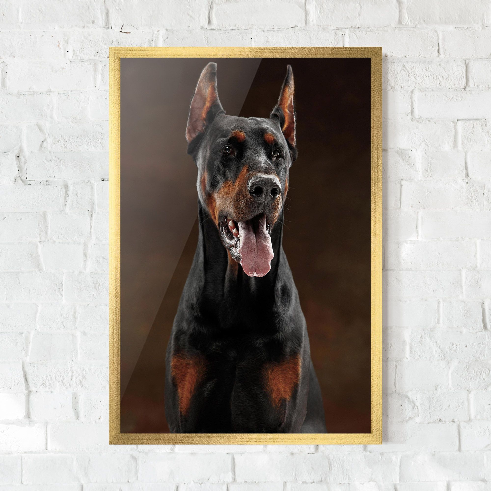 Doberman Looking mockup 0
