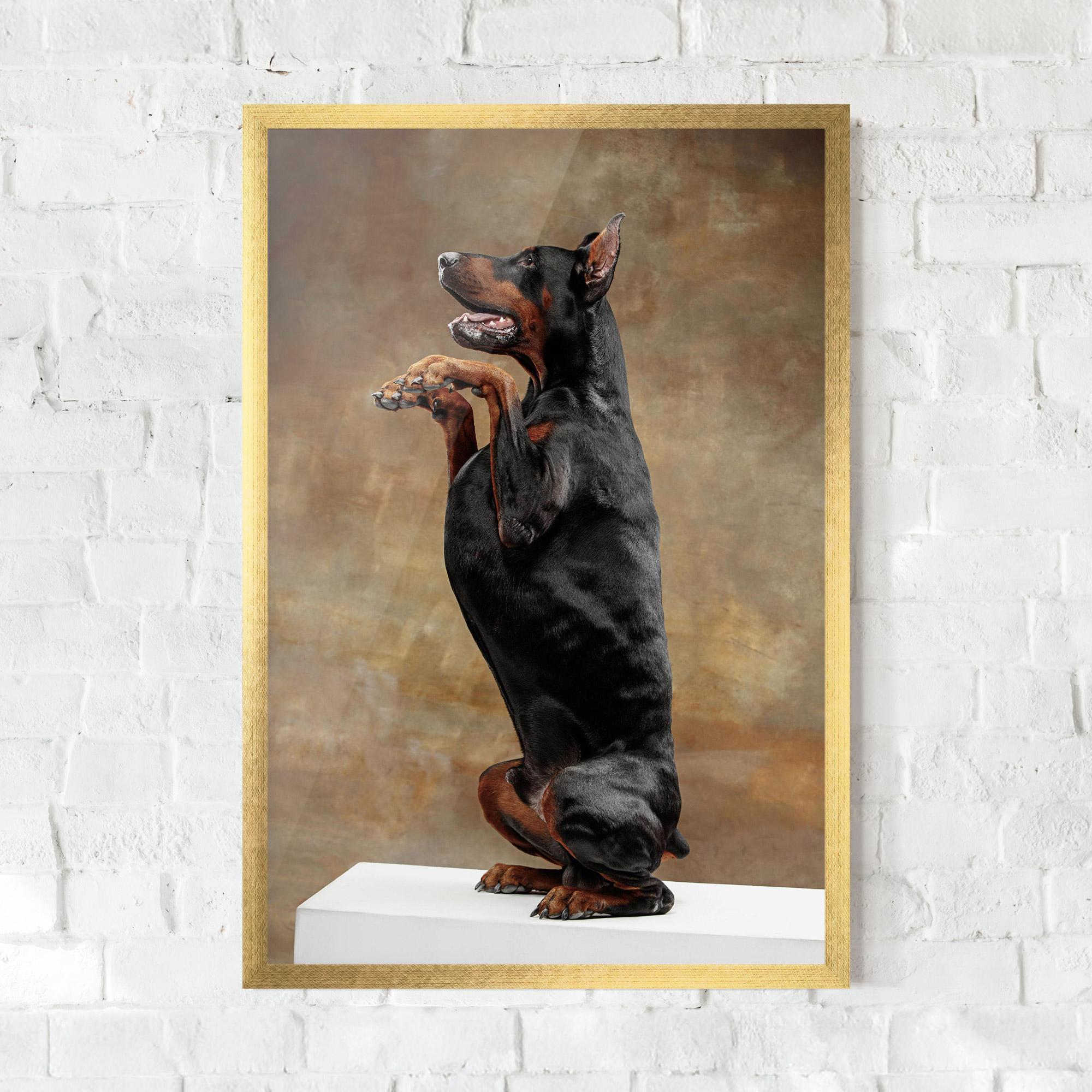 Рамкиран постер Doberman Standing mockup 0