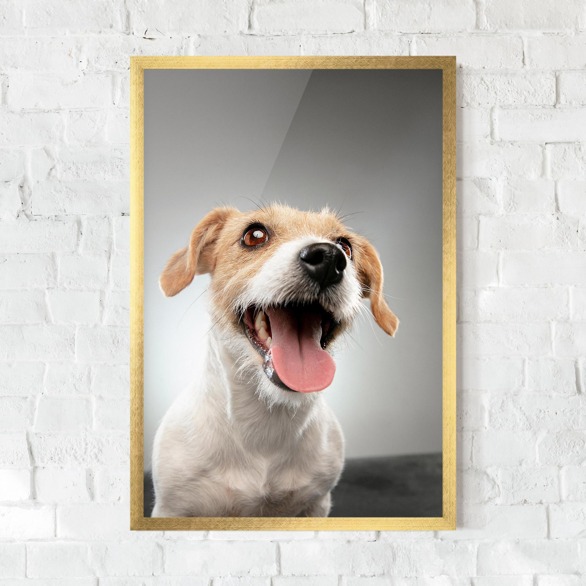 Рамкиран постер Jack Russell Terrier mockup 0