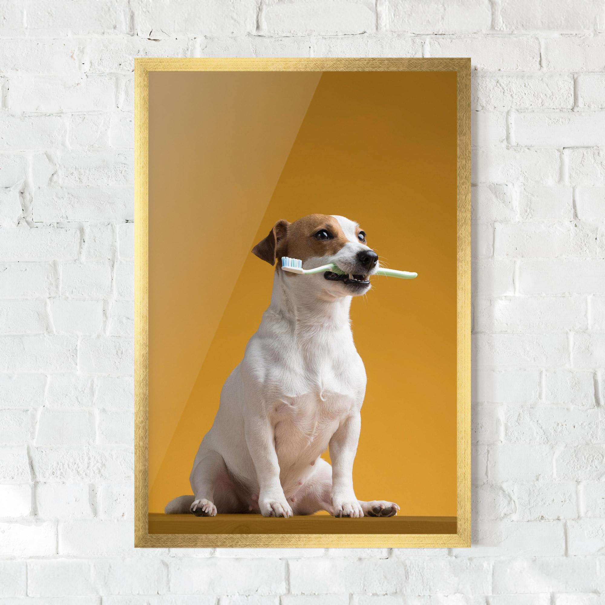 Рамкиран постер Toothbrush Dog mockup 0