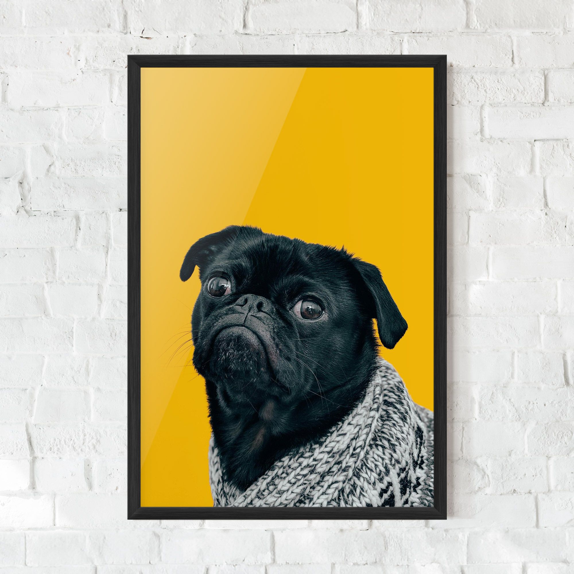 Black Pug mockup 0