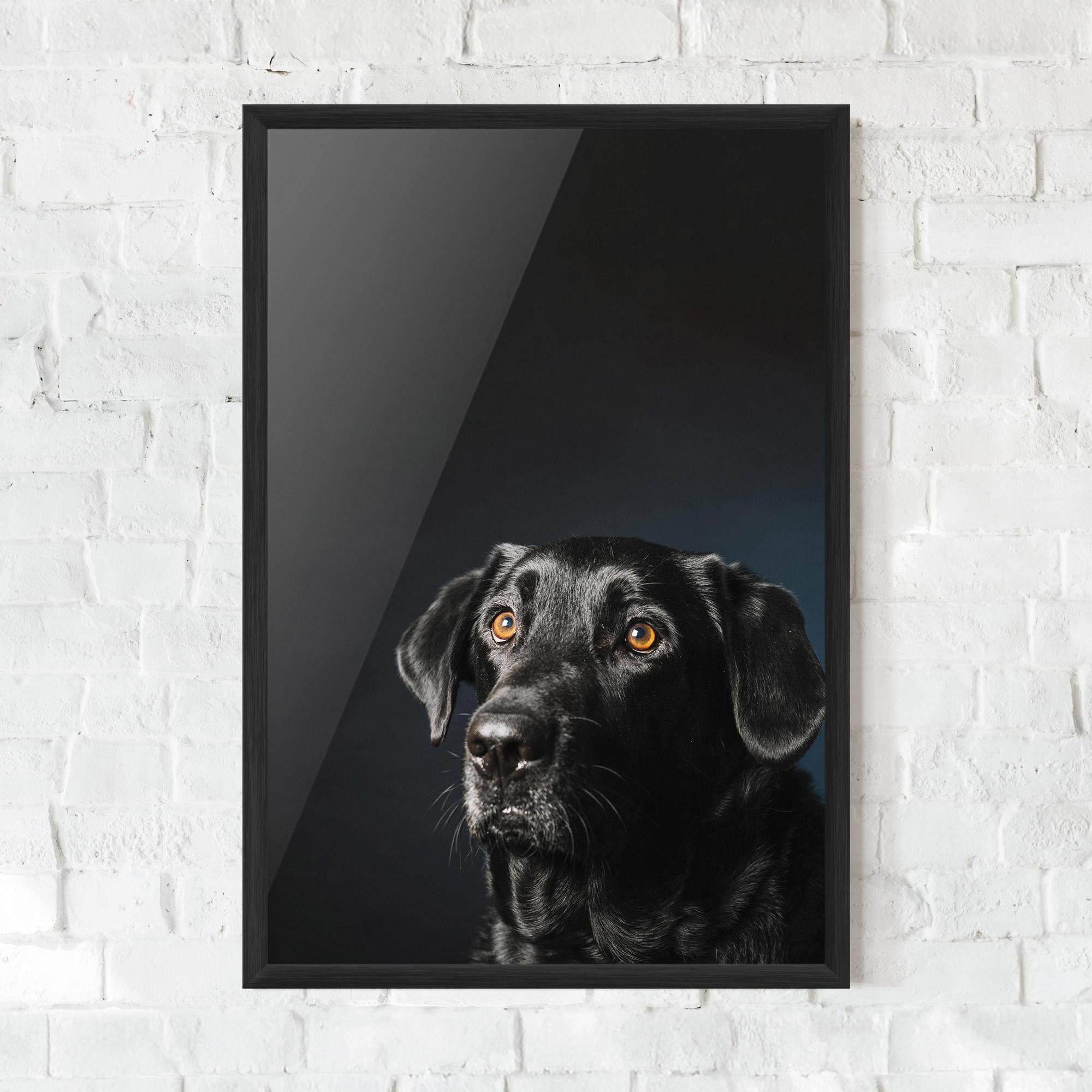 Рамкиран постер Brown Eyes Dog mockup 0