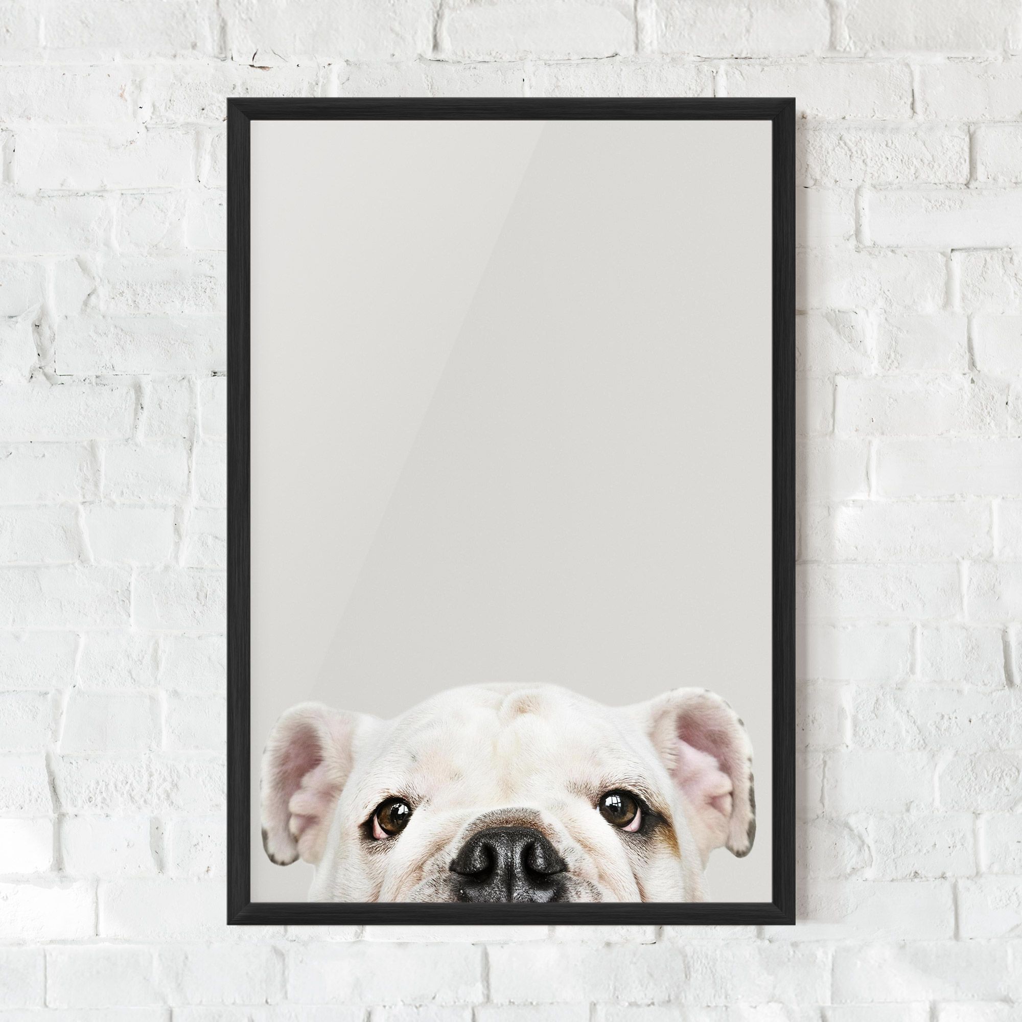 Bulldog Eyes mockup 0