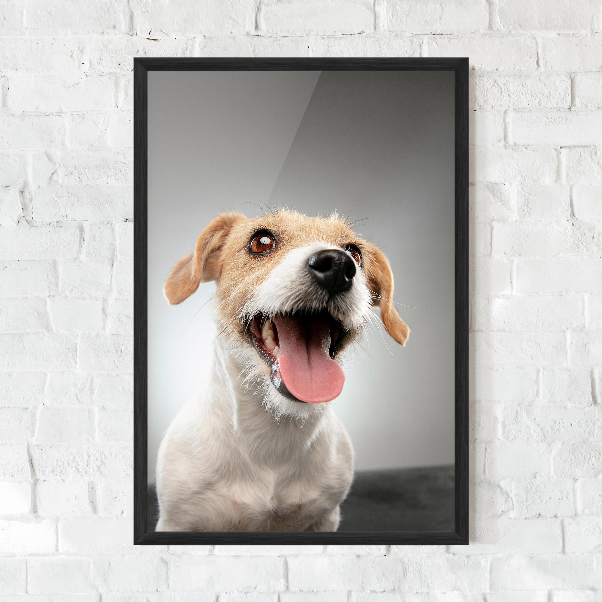 Рамкиран постер Jack Russell Terrier mockup 0