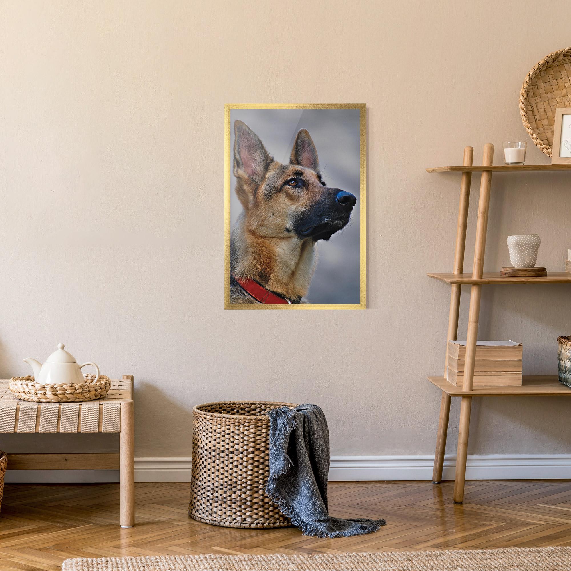 Рамкиран постер German Shepherd mockup 9