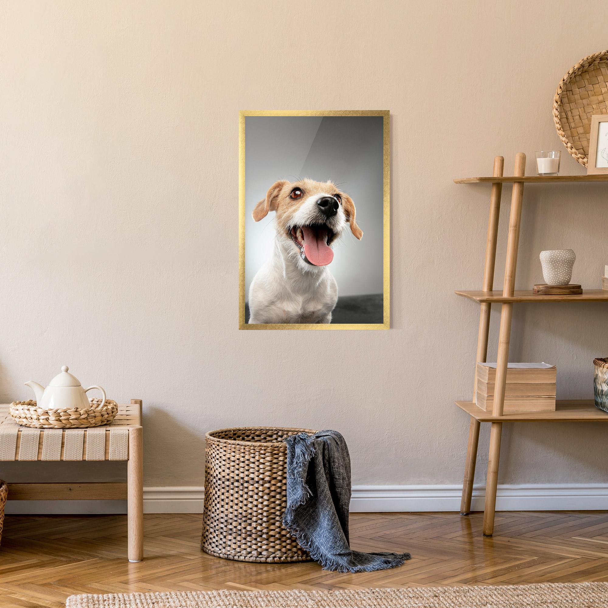 Рамкиран постер Jack Russell Terrier mockup 9