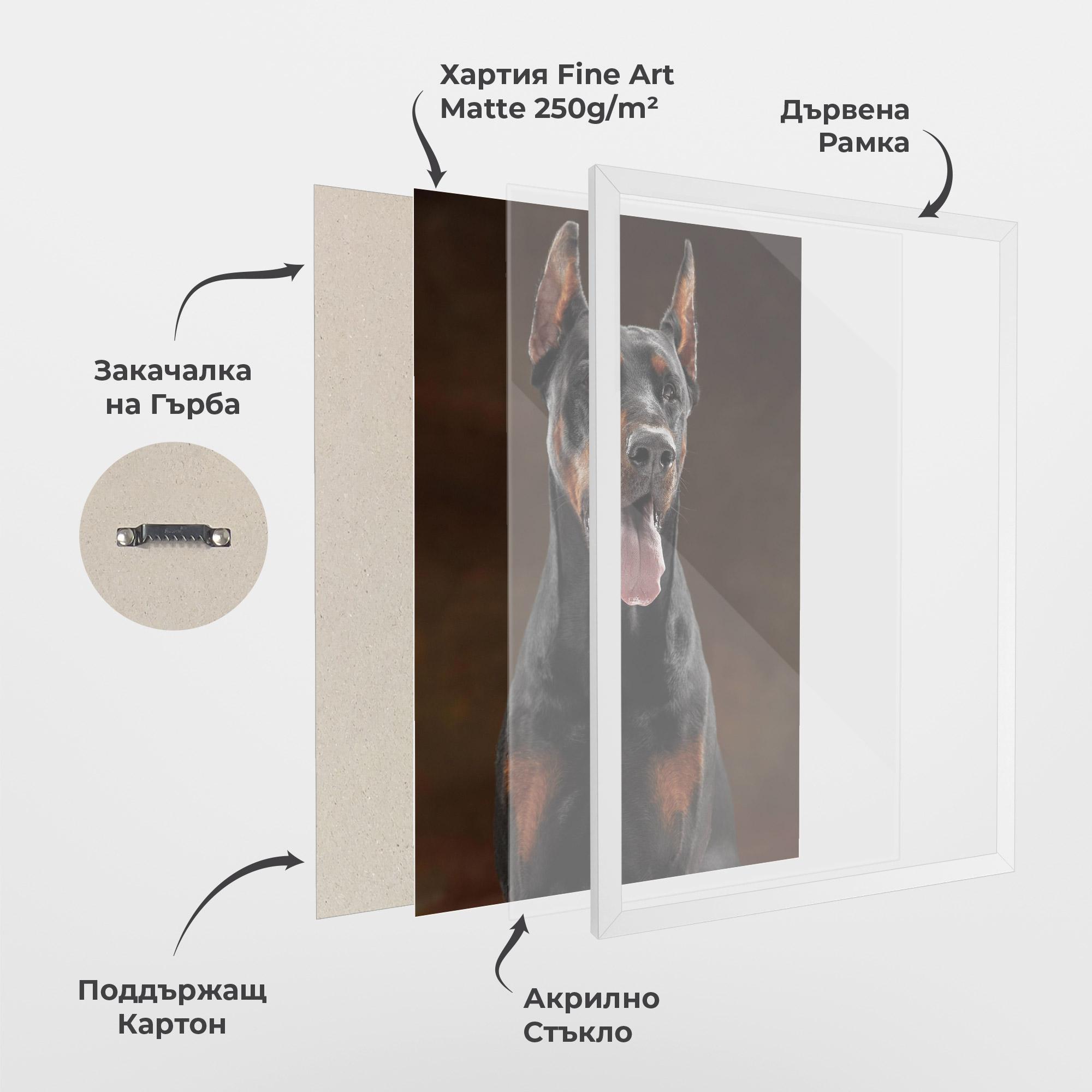Рамкиран постер Doberman Looking mockup 1