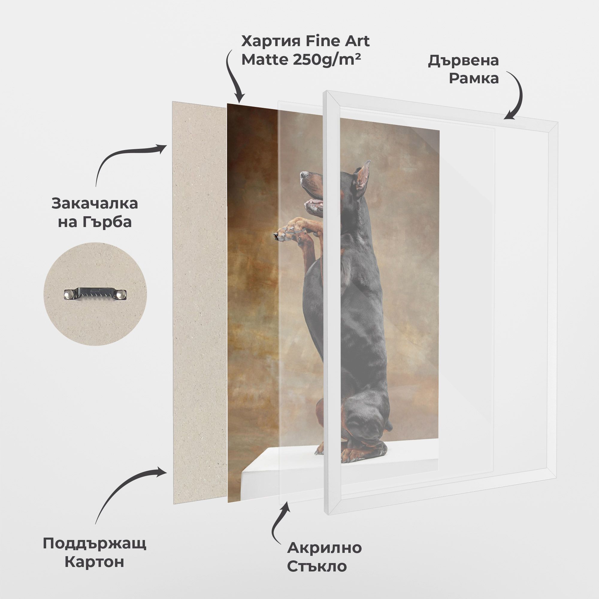 Doberman Standing mockup 1