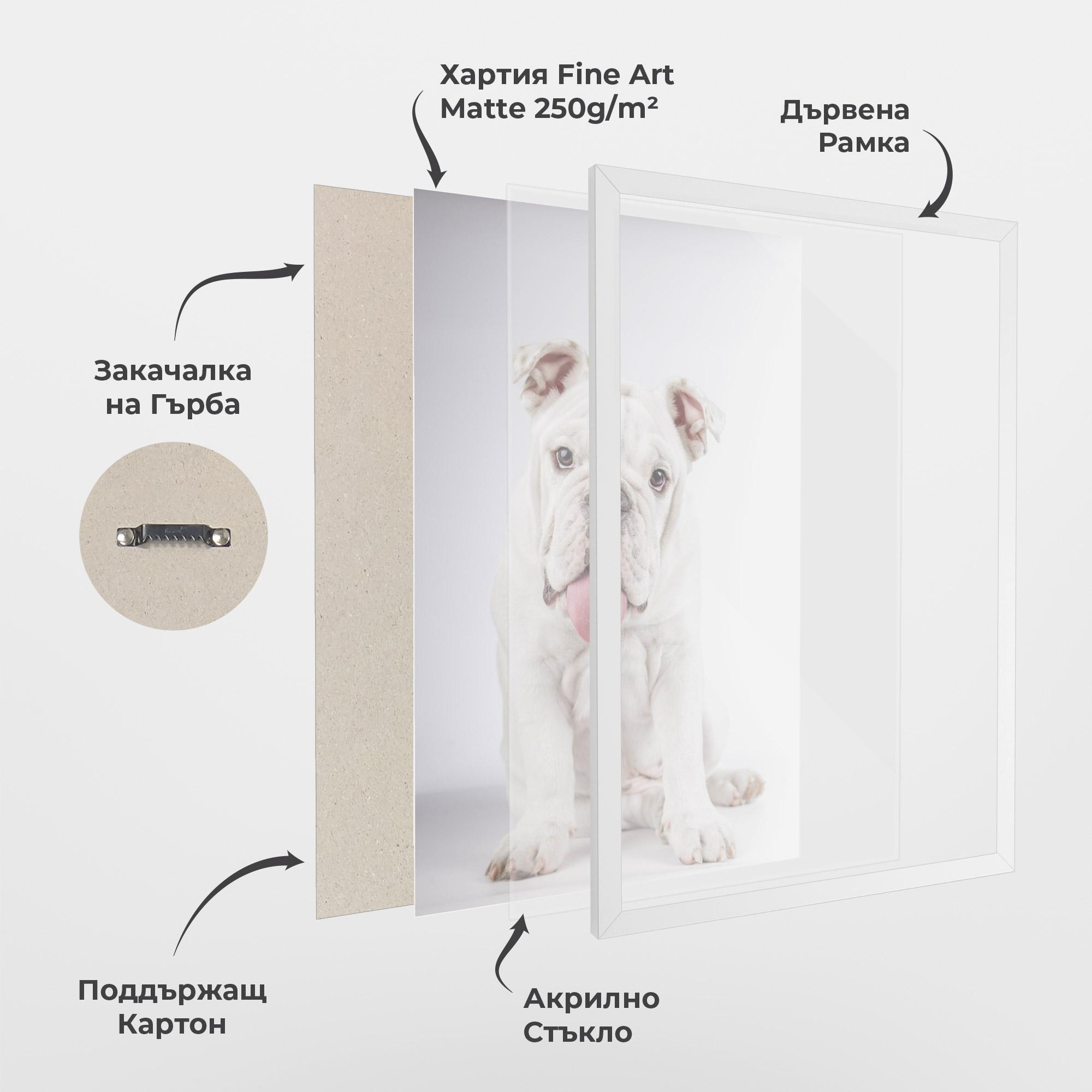 Рамкиран постер English Bulldog mockup 1