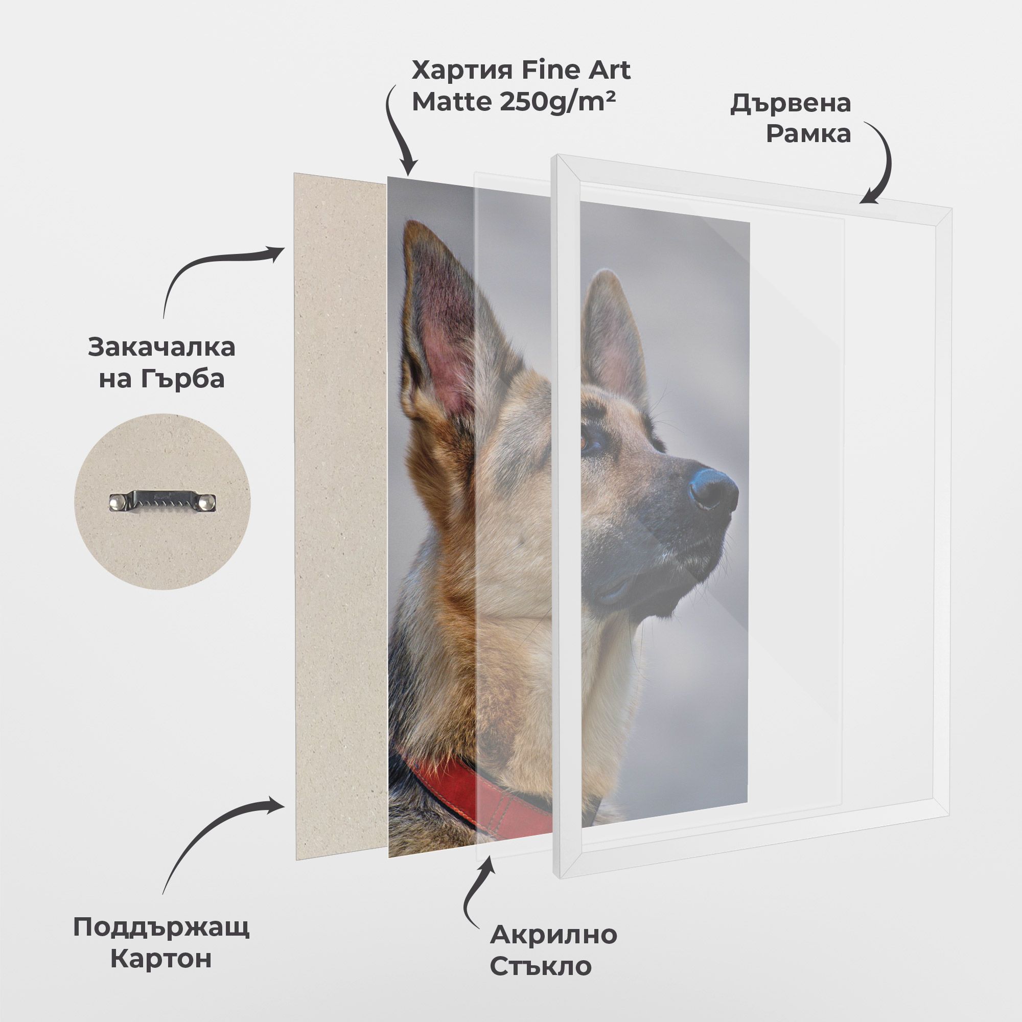 German Shepherd mockup 1