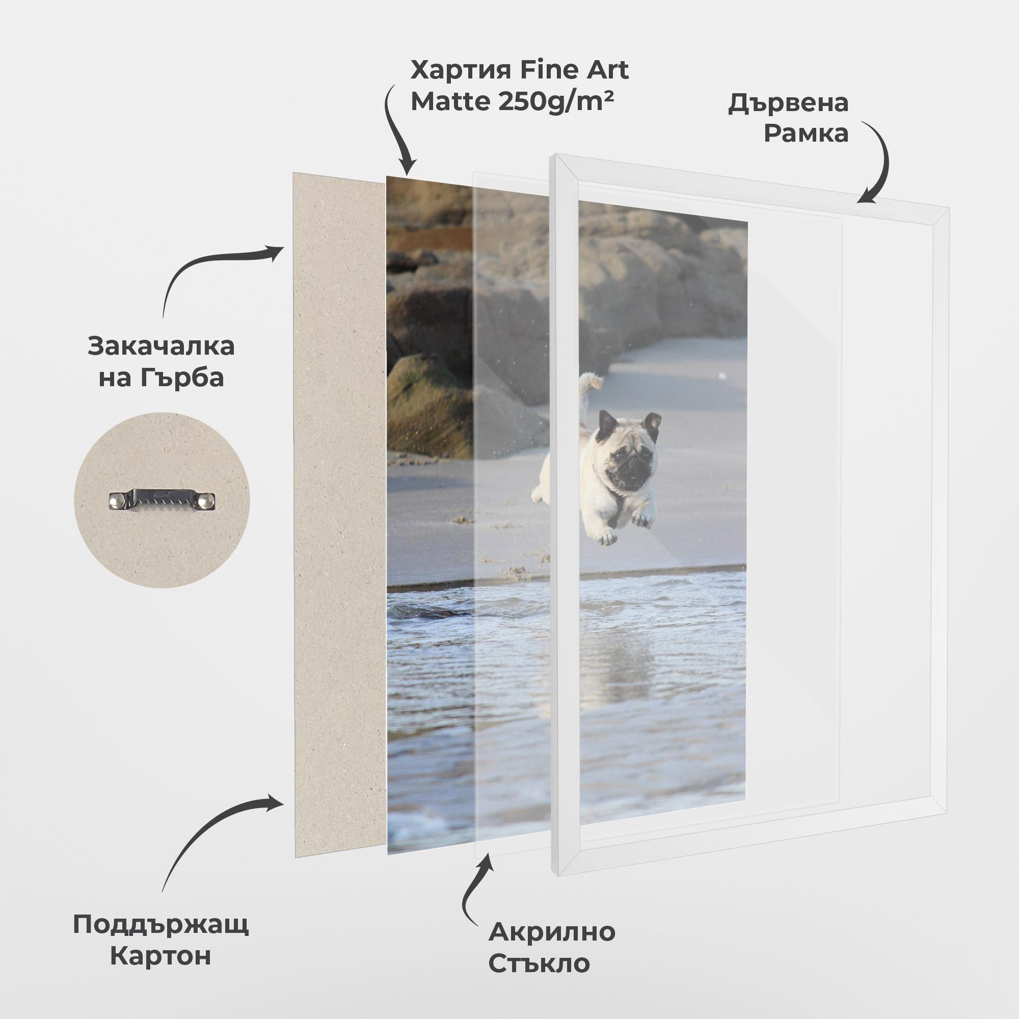 Рамкиран постер Water Pug mockup 1