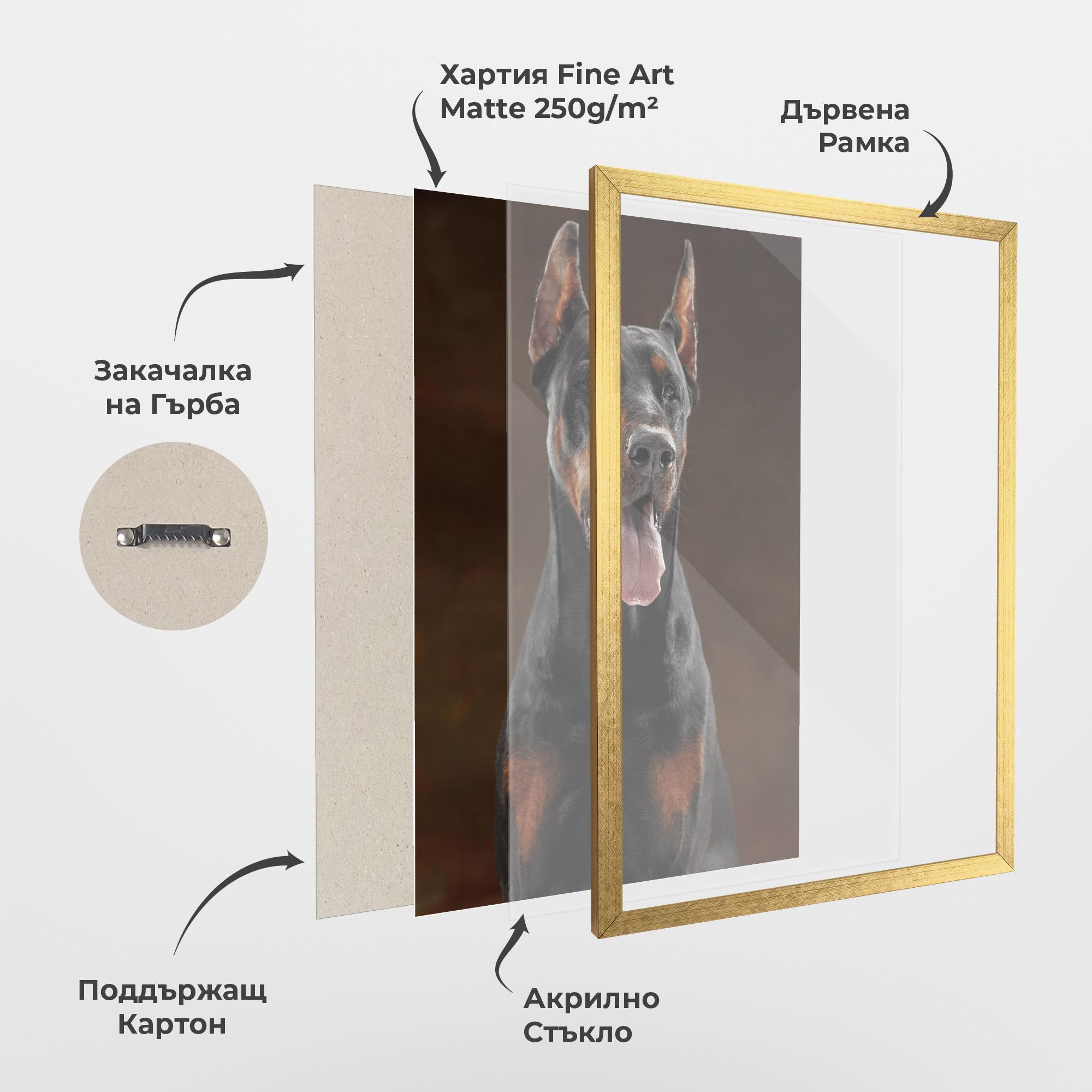 Рамкиран постер Doberman Looking mockup 1