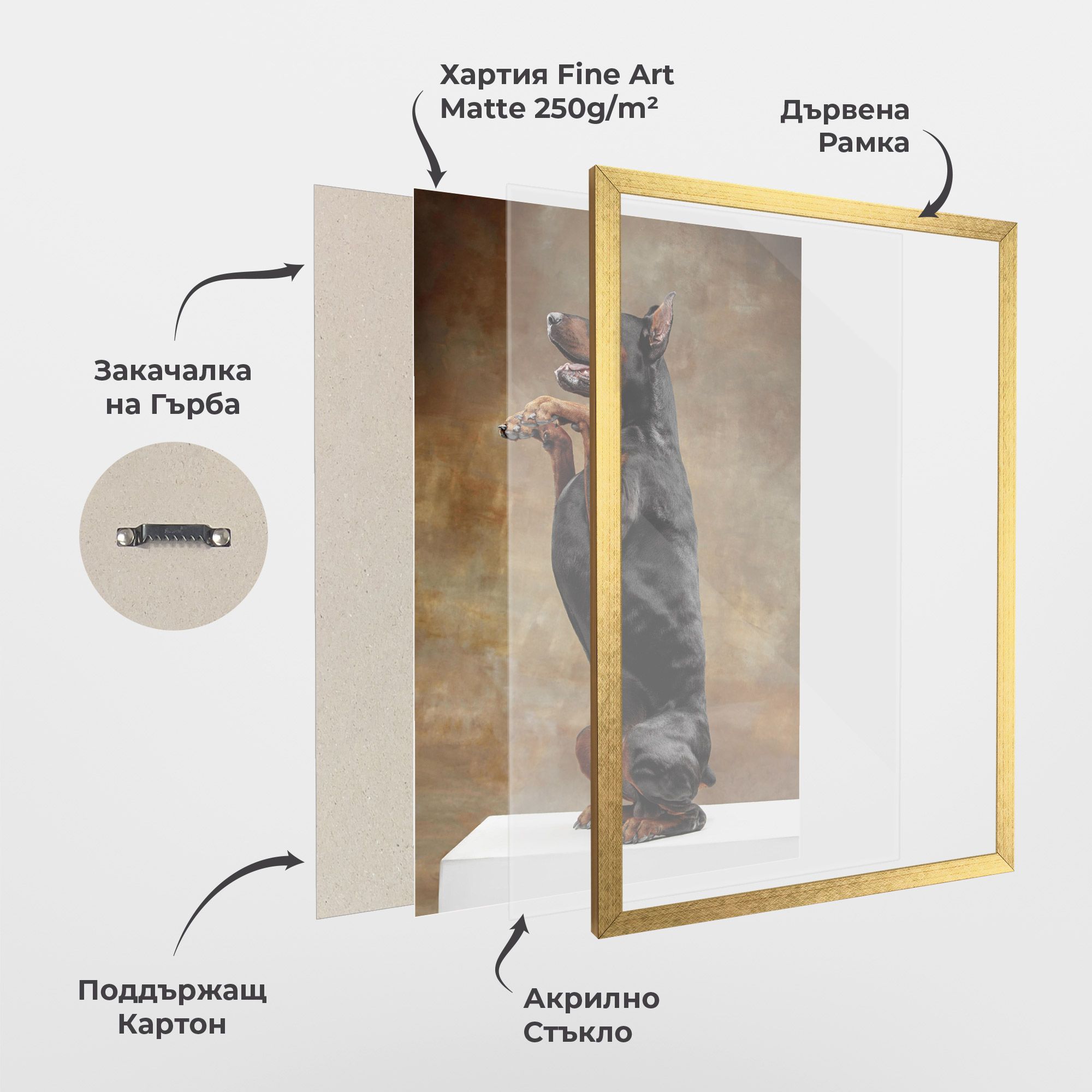 Doberman Standing mockup 1