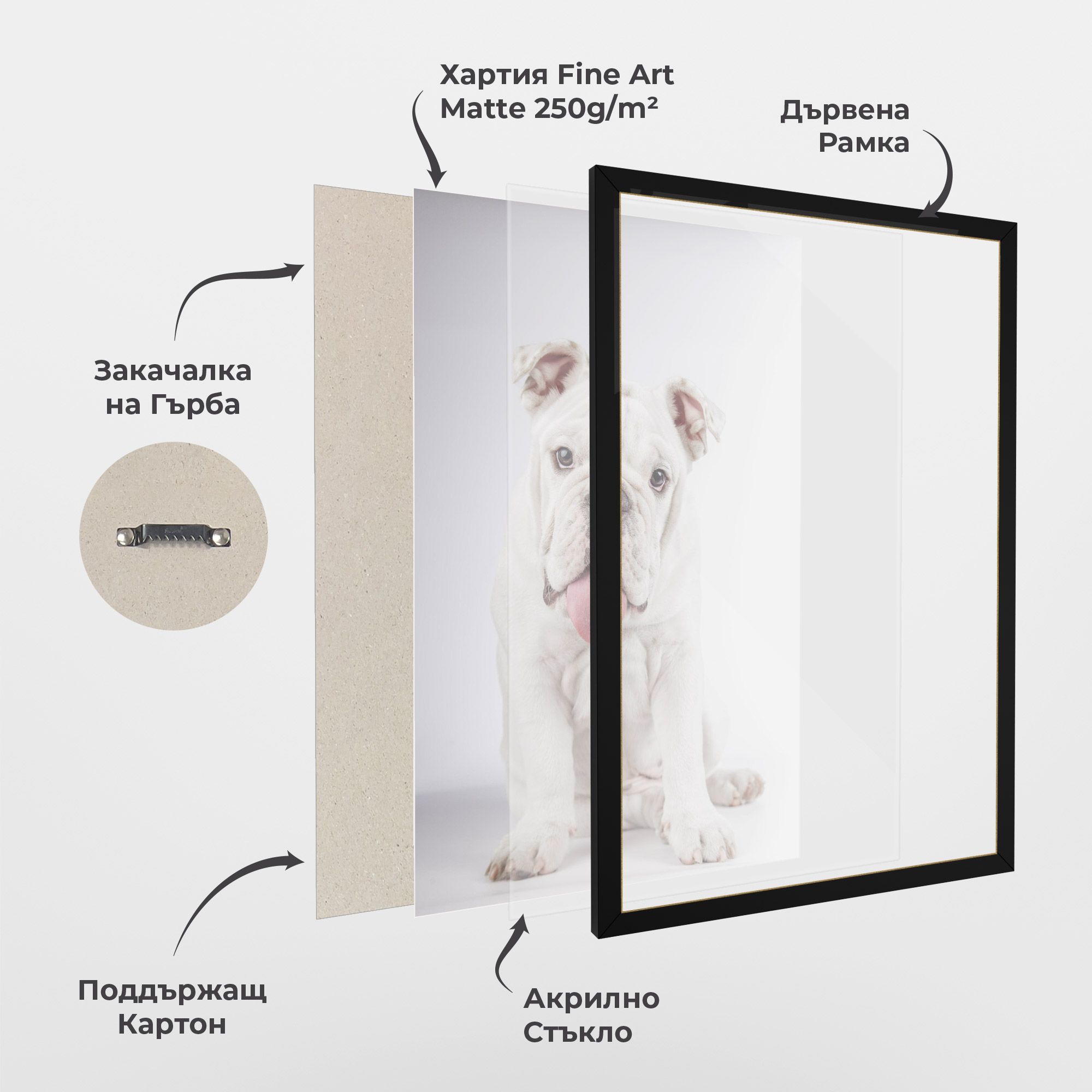 English Bulldog mockup 1