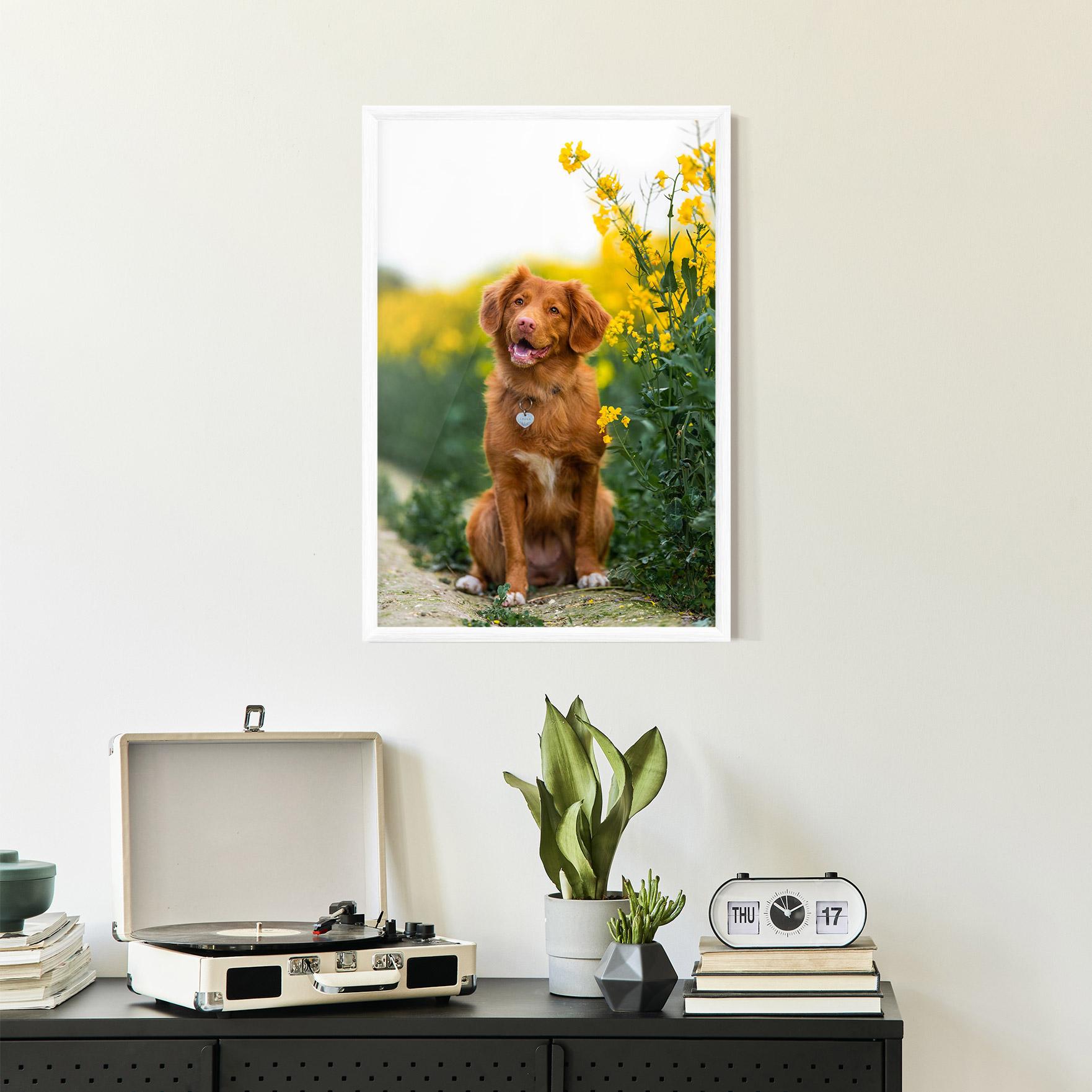 Рамкиран постер Dog Yellow Flowers mockup 2