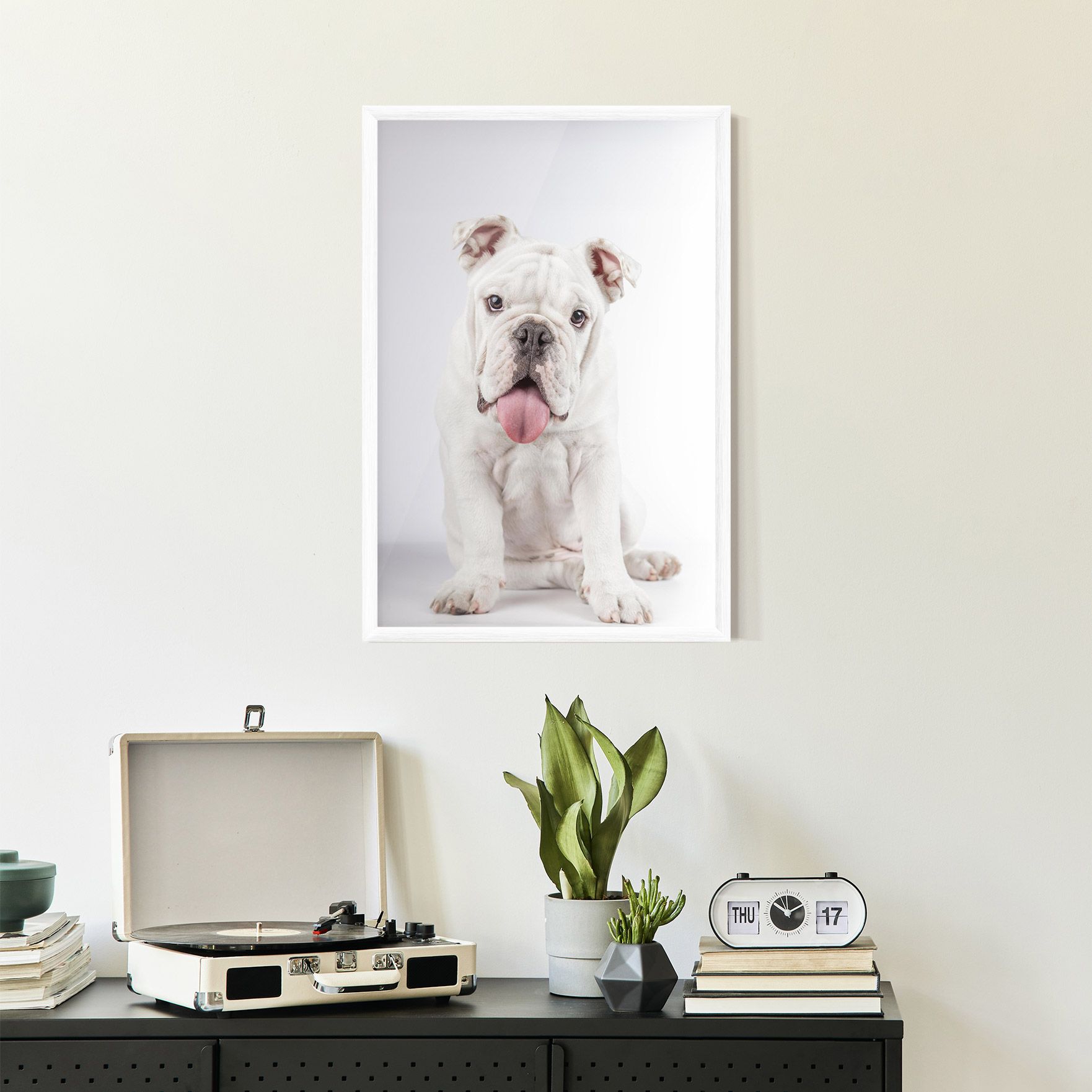 English Bulldog mockup 2