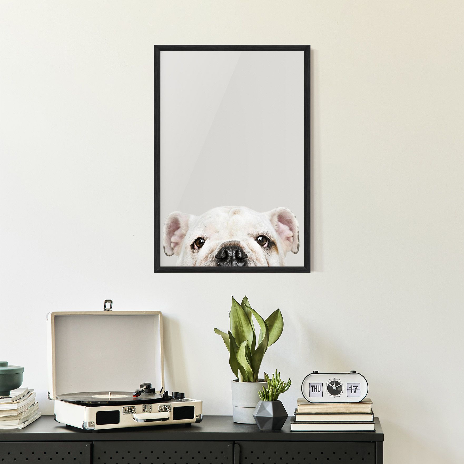 Bulldog Eyes mockup 2