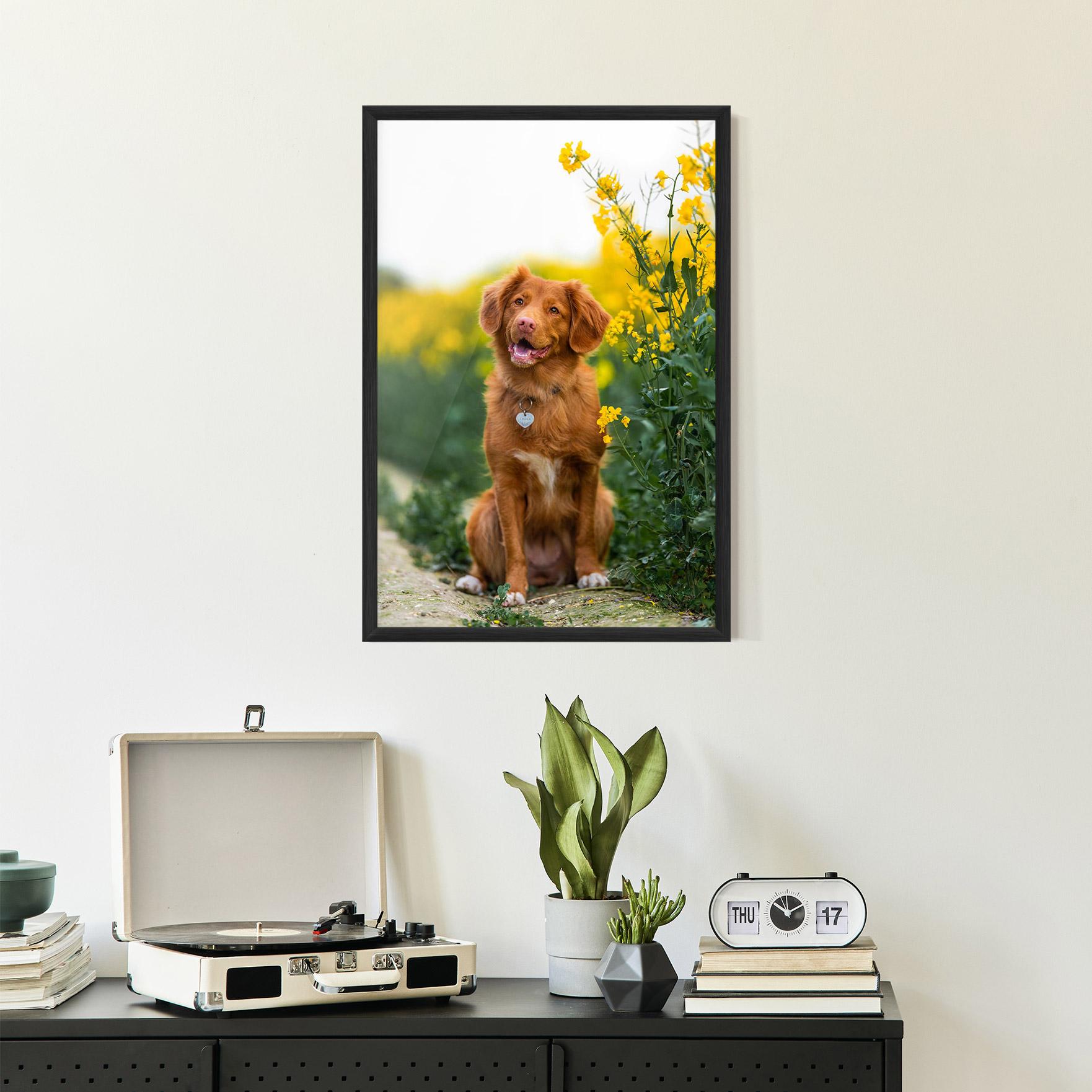Рамкиран постер Dog Yellow Flowers mockup 2