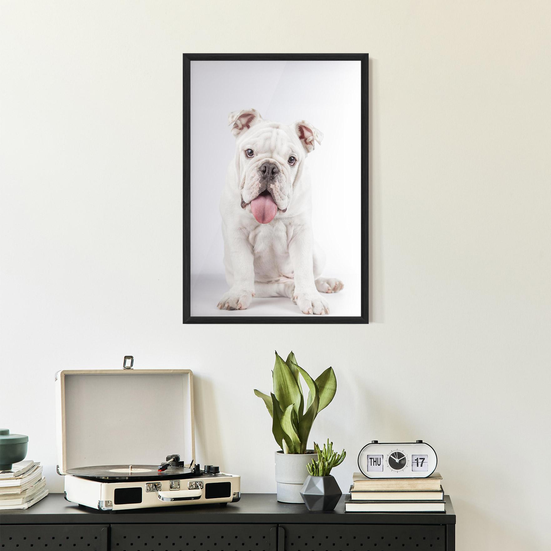 Рамкиран постер English Bulldog mockup 2