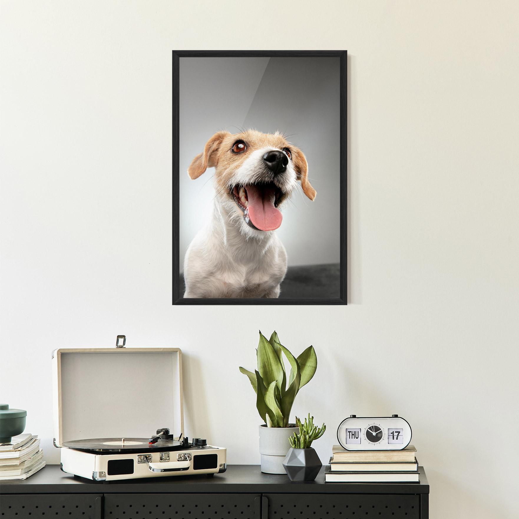 Рамкиран постер Jack Russell Terrier mockup 2