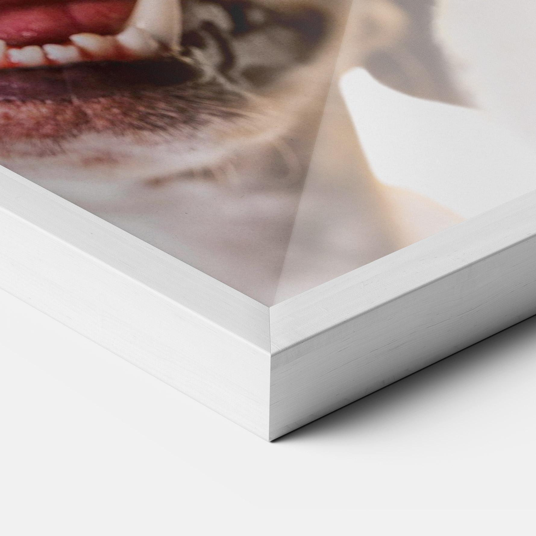 Рамкиран постер Cute Pet Collage mockup 3