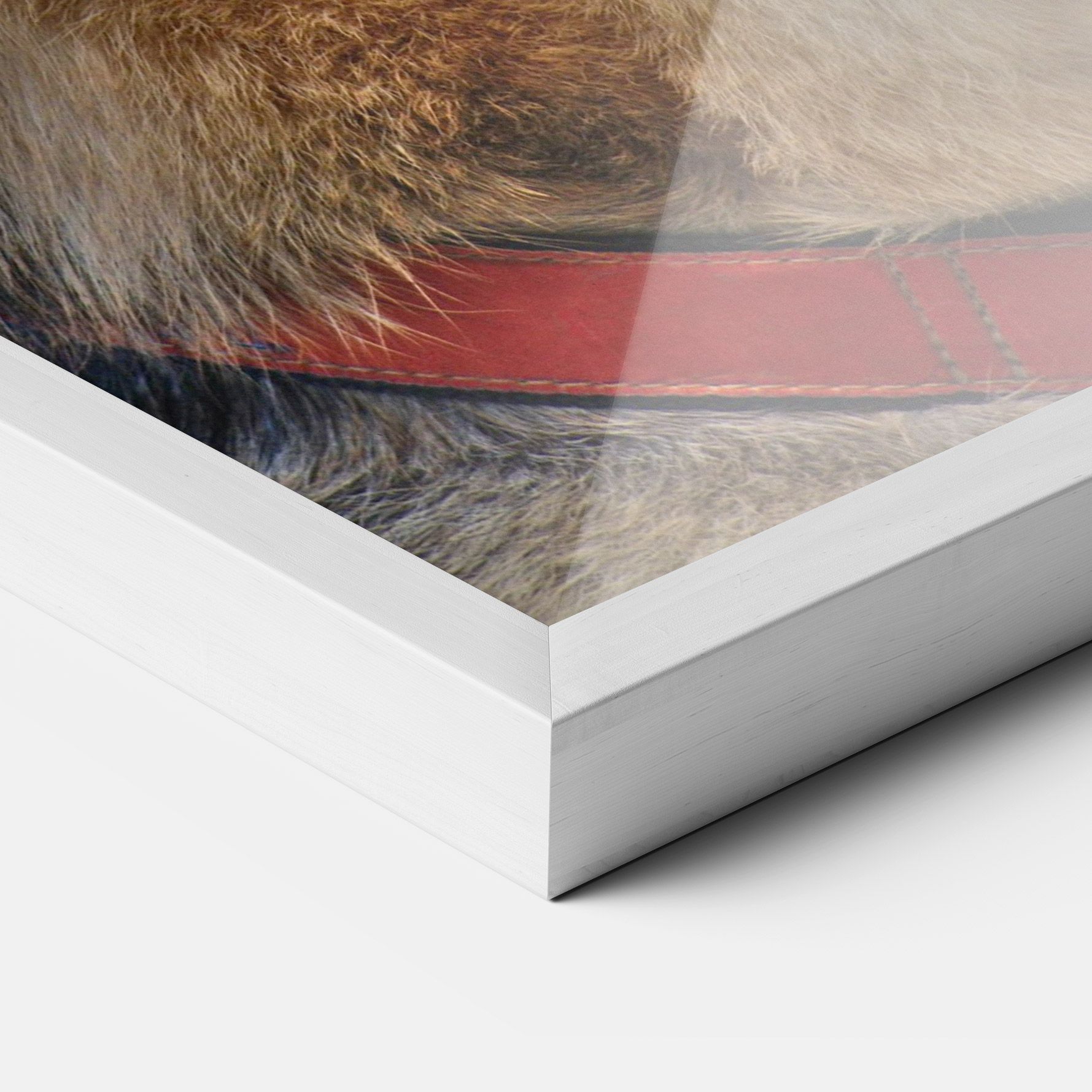 German Shepherd mockup 3