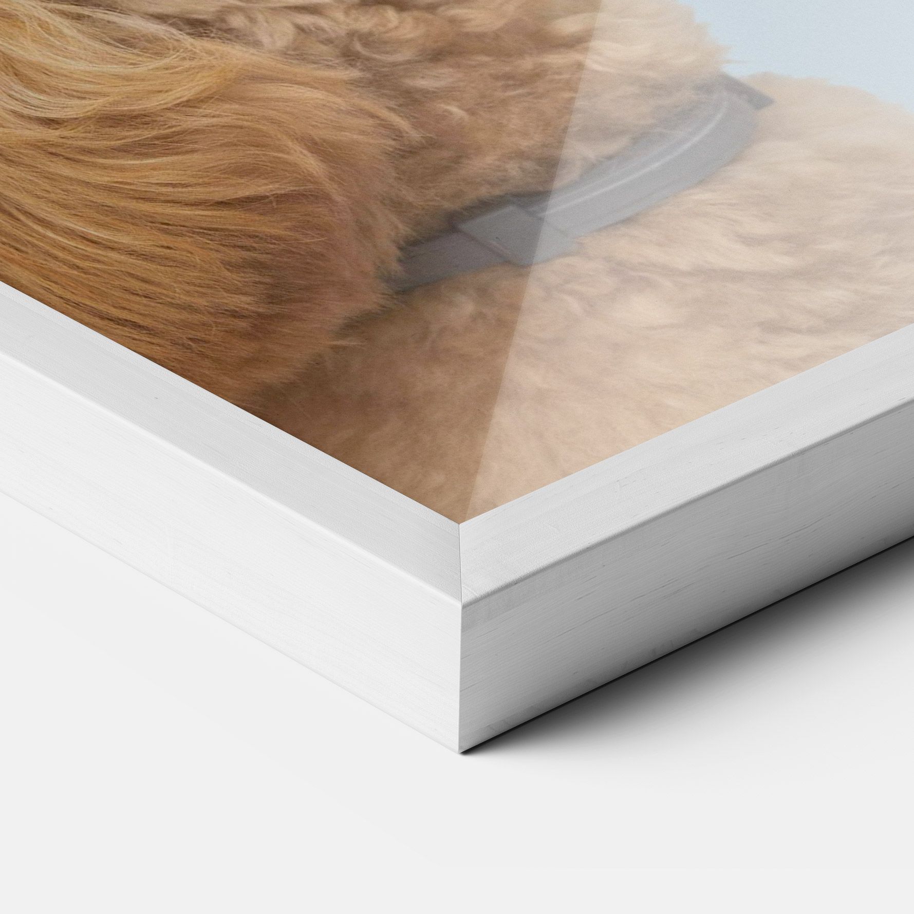 Yellow Cute Dog mockup 3