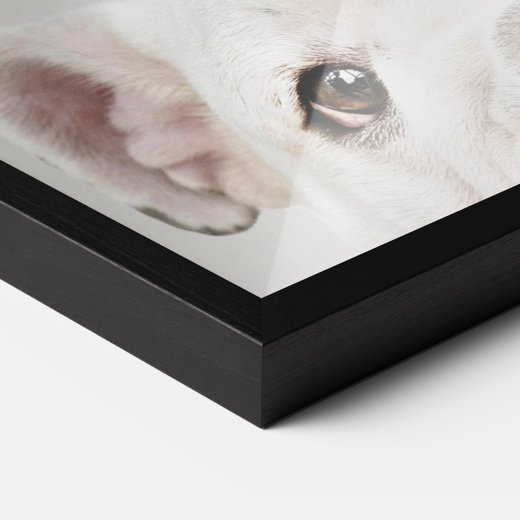 Рамкиран постер Bulldog Eyes mockup 3