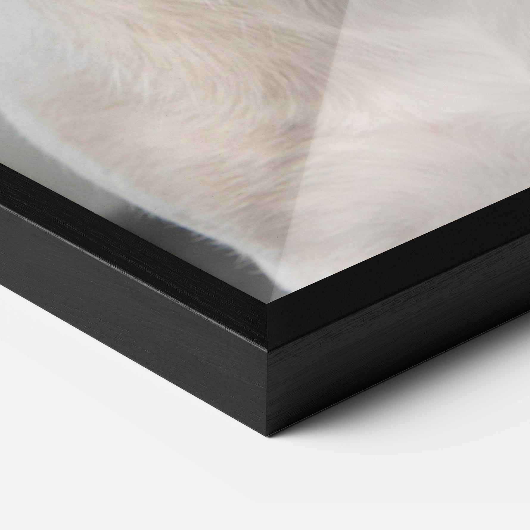 Рамкиран постер Jack Russell Terrier mockup 3