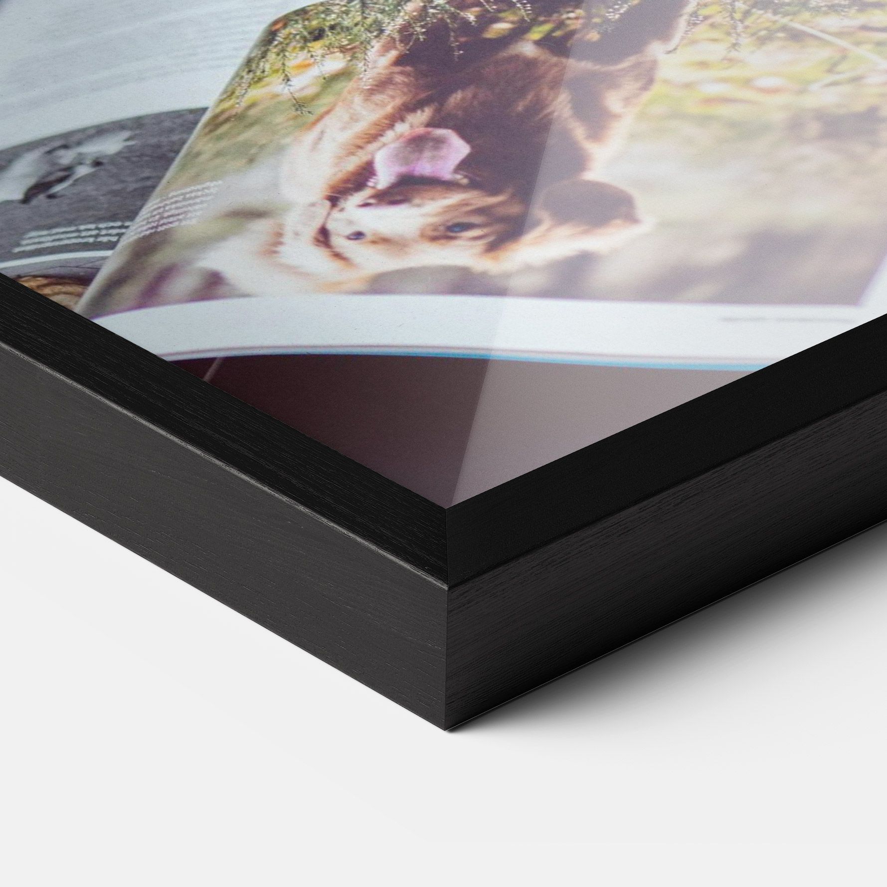 Learning Dog mockup 3