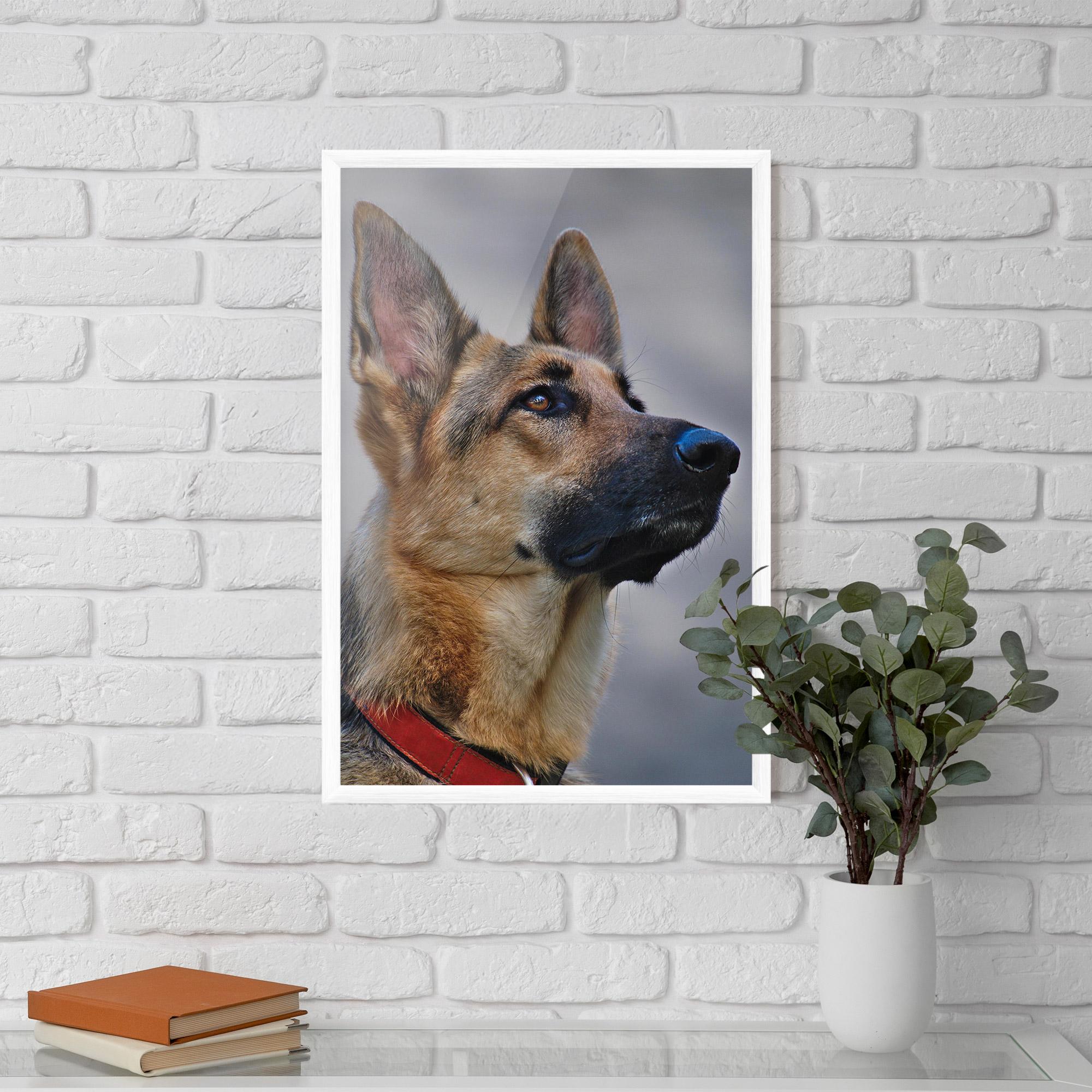 Рамкиран постер German Shepherd mockup 5