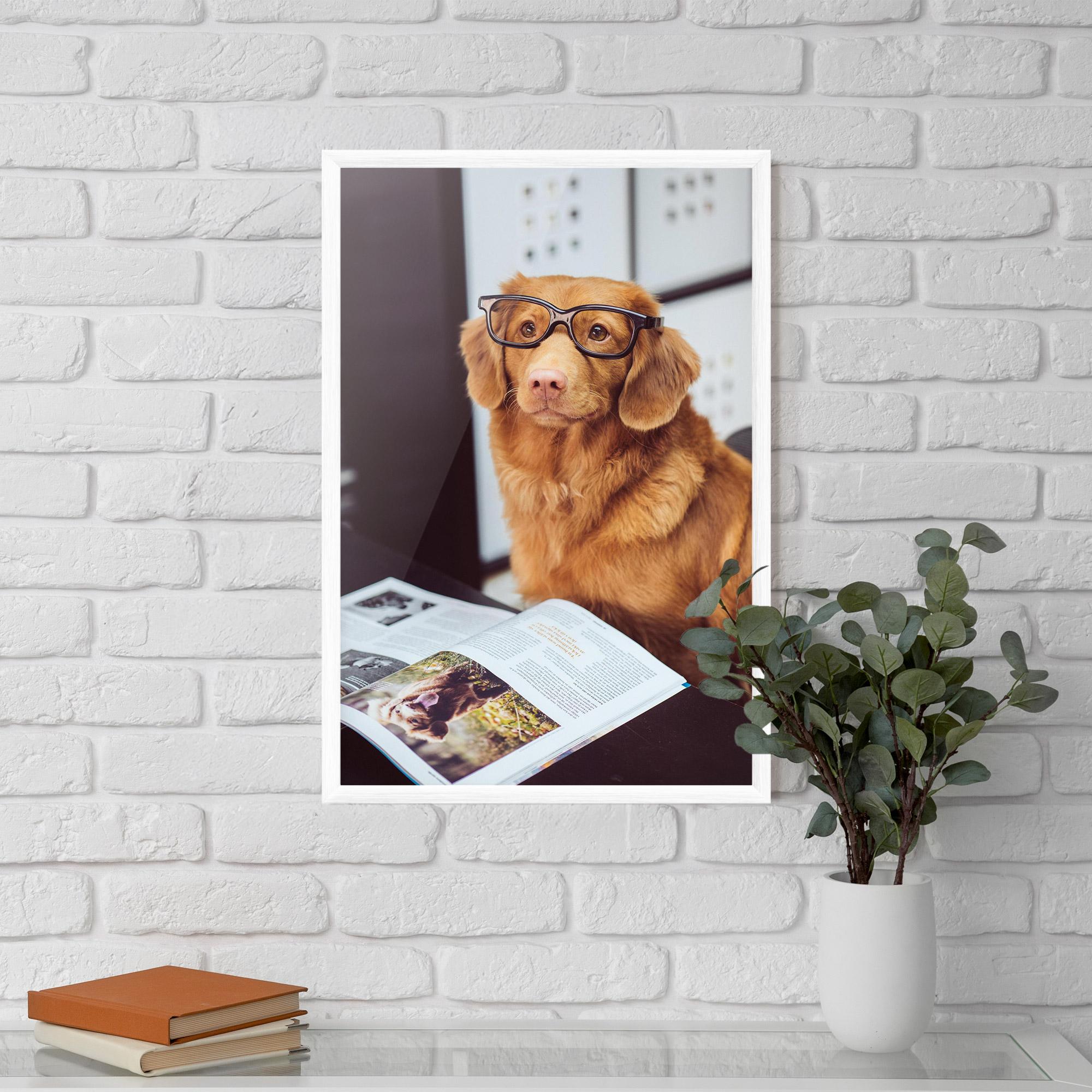 Рамкиран постер Learning Dog mockup 5
