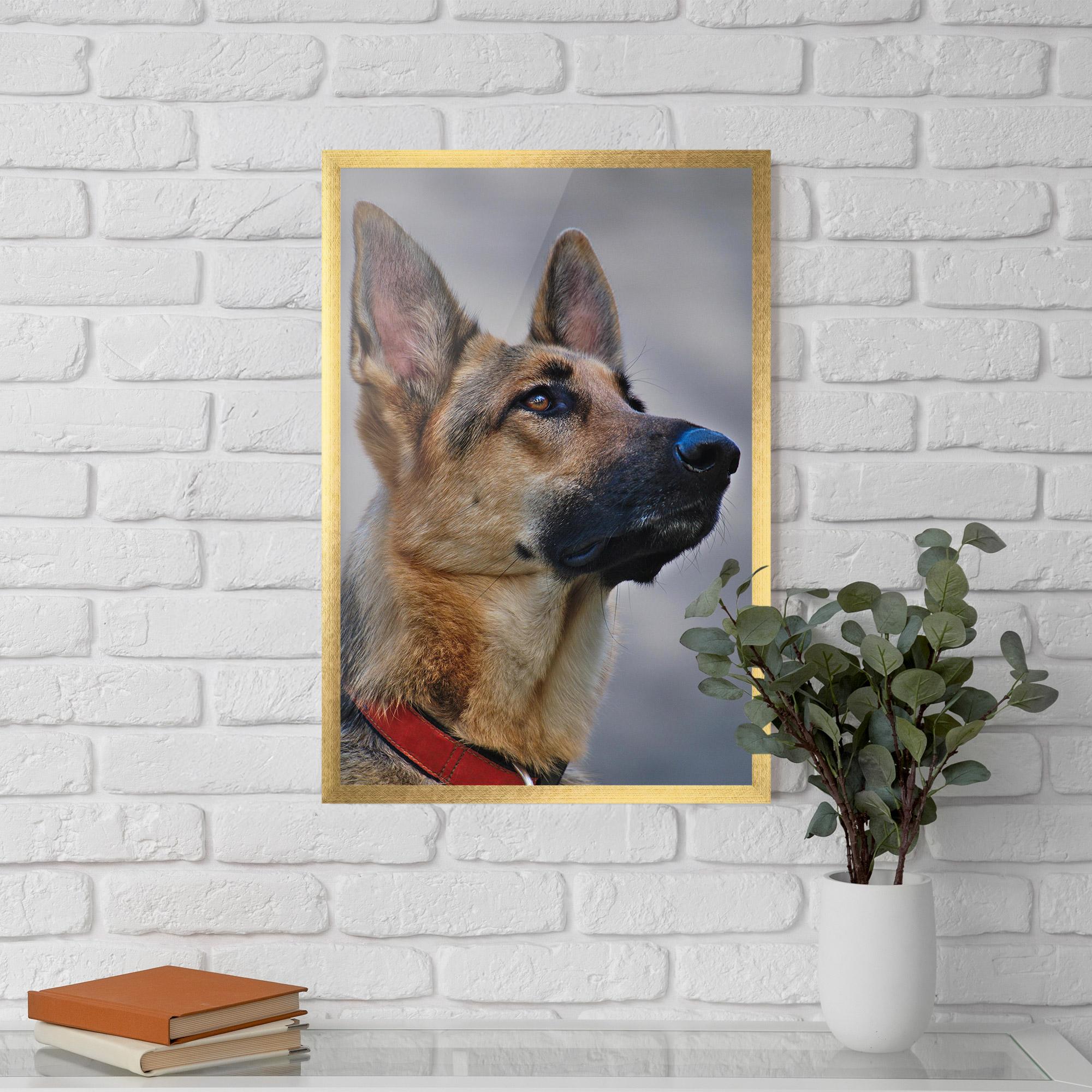 Рамкиран постер German Shepherd mockup 5