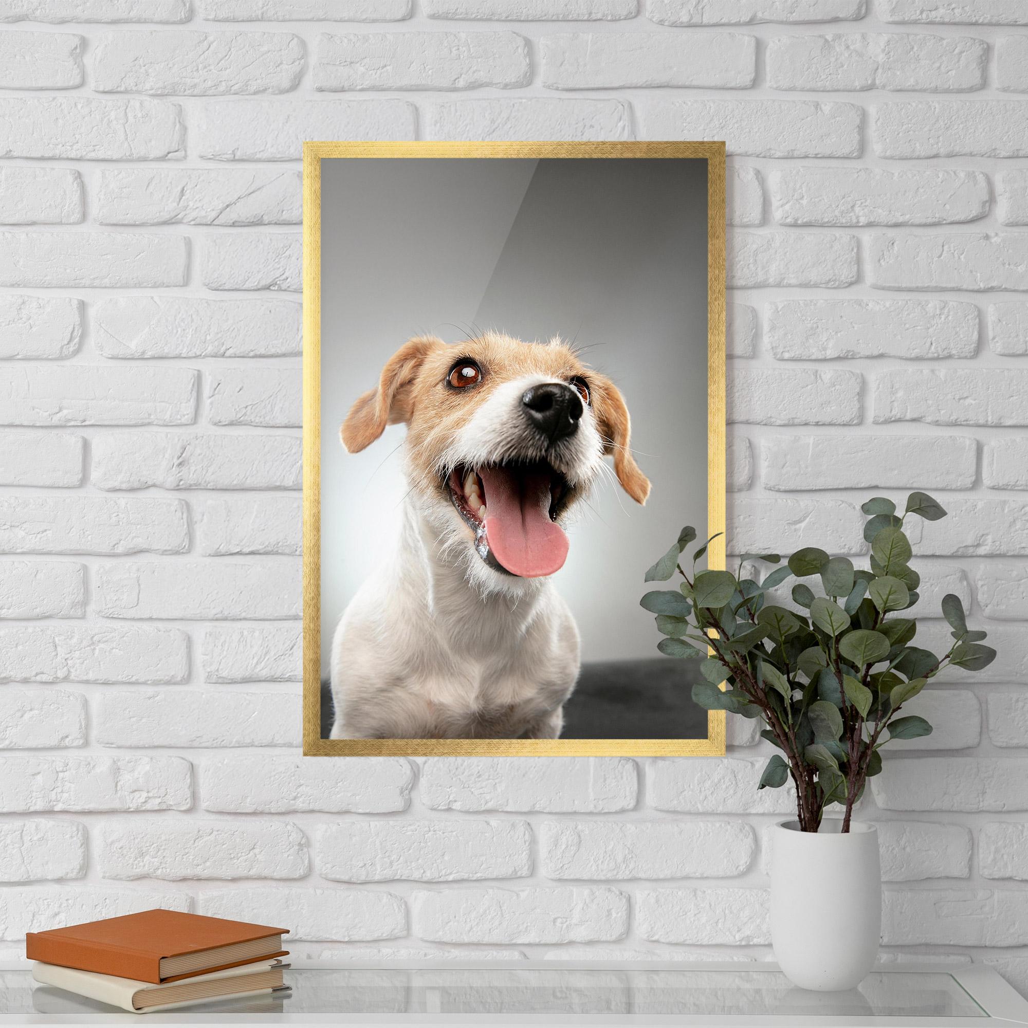 Рамкиран постер Jack Russell Terrier mockup 5