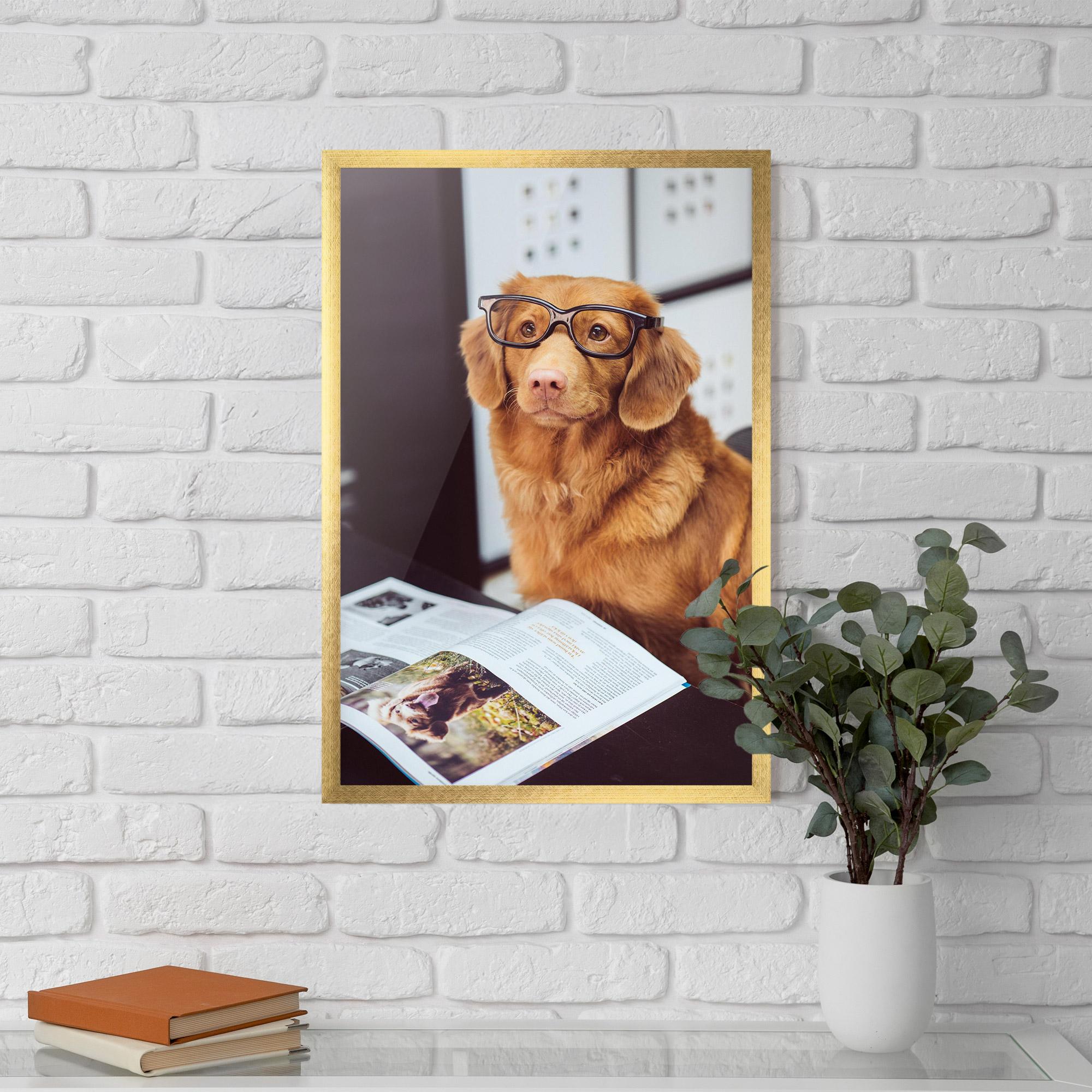 Рамкиран постер Learning Dog mockup 5