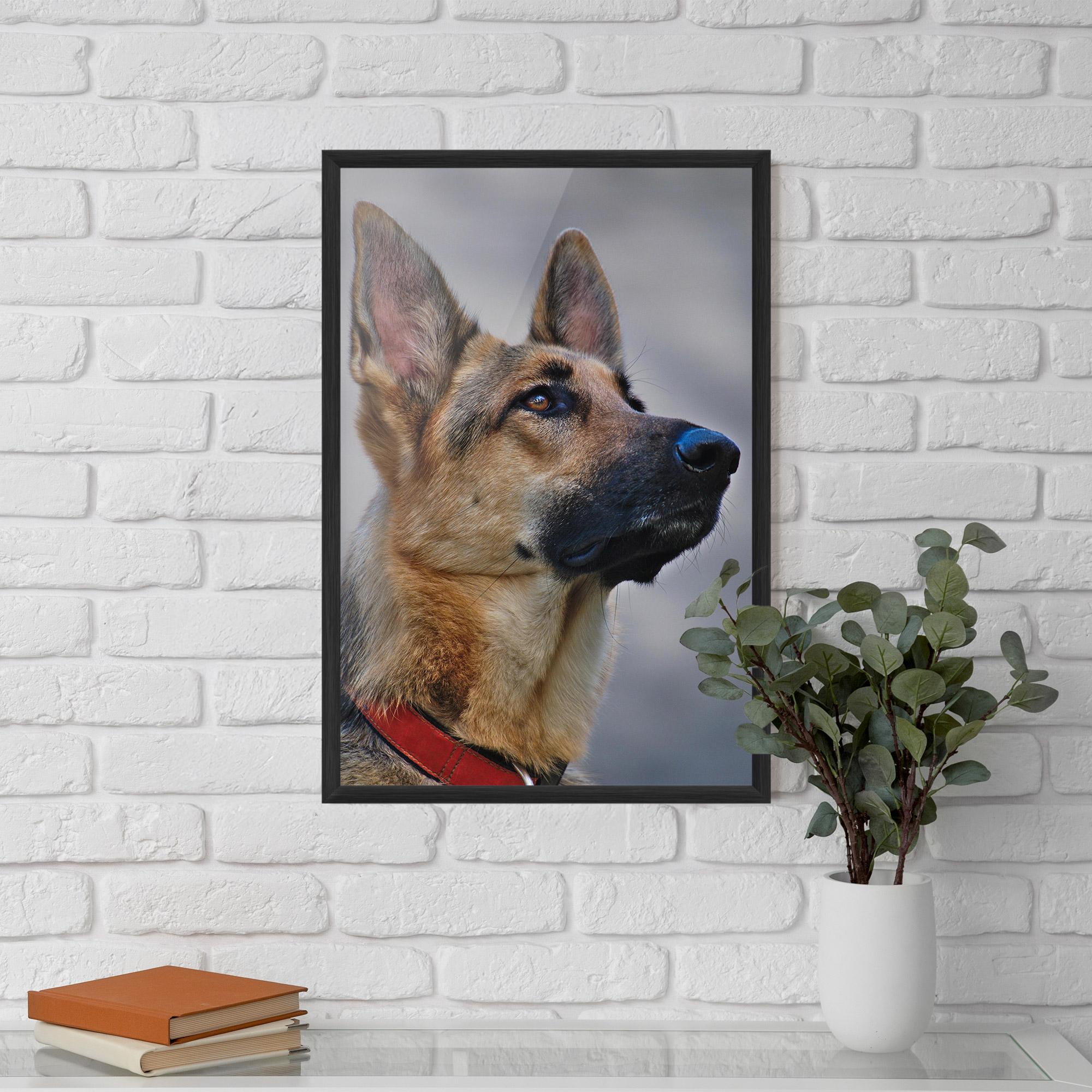 Рамкиран постер German Shepherd mockup 5
