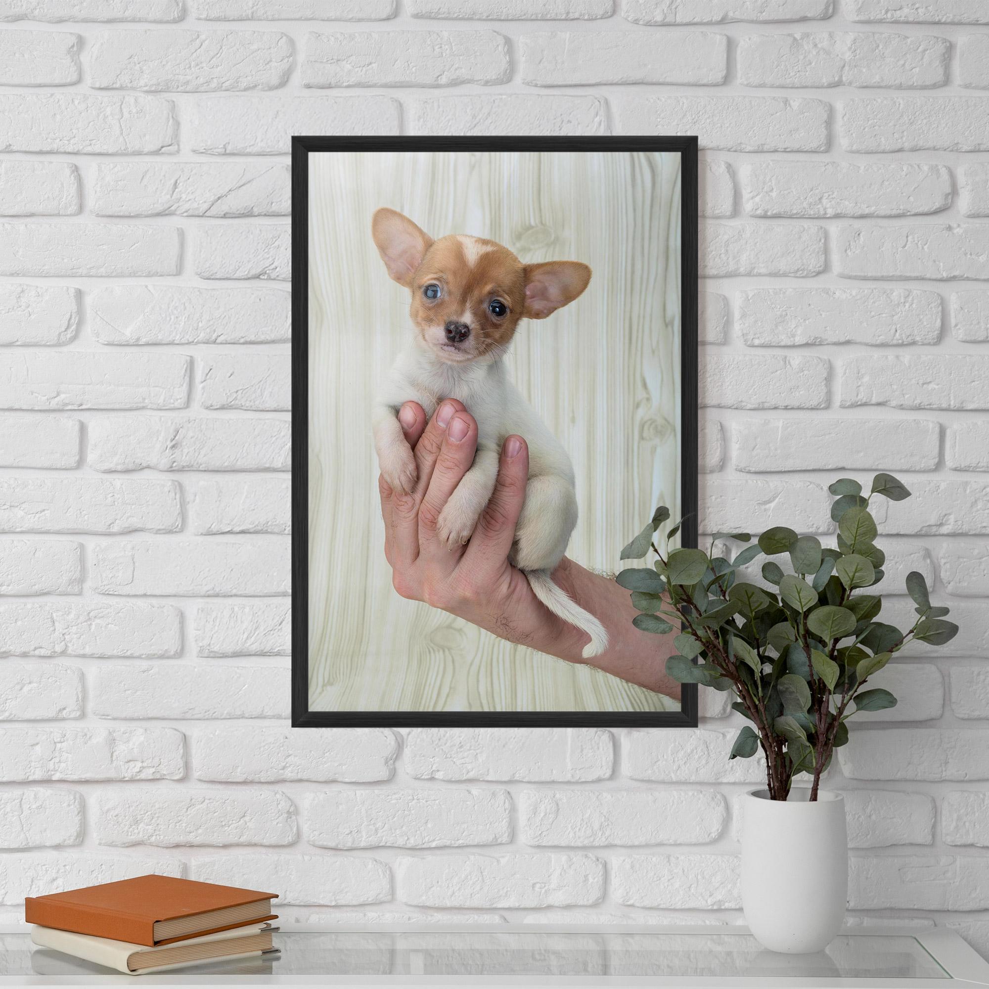Рамкиран постер Holding Chihuahua mockup 5