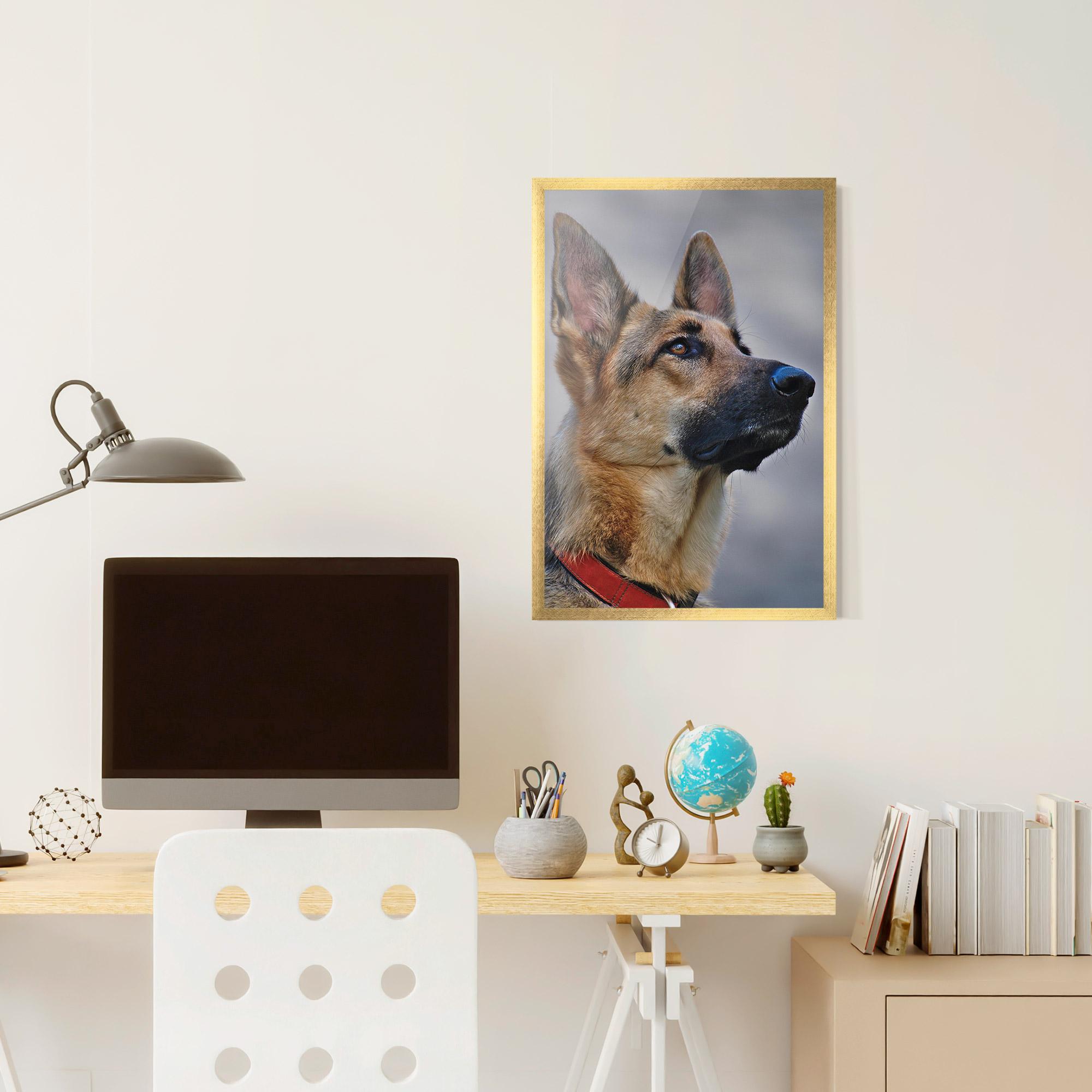 Рамкиран постер German Shepherd mockup 6