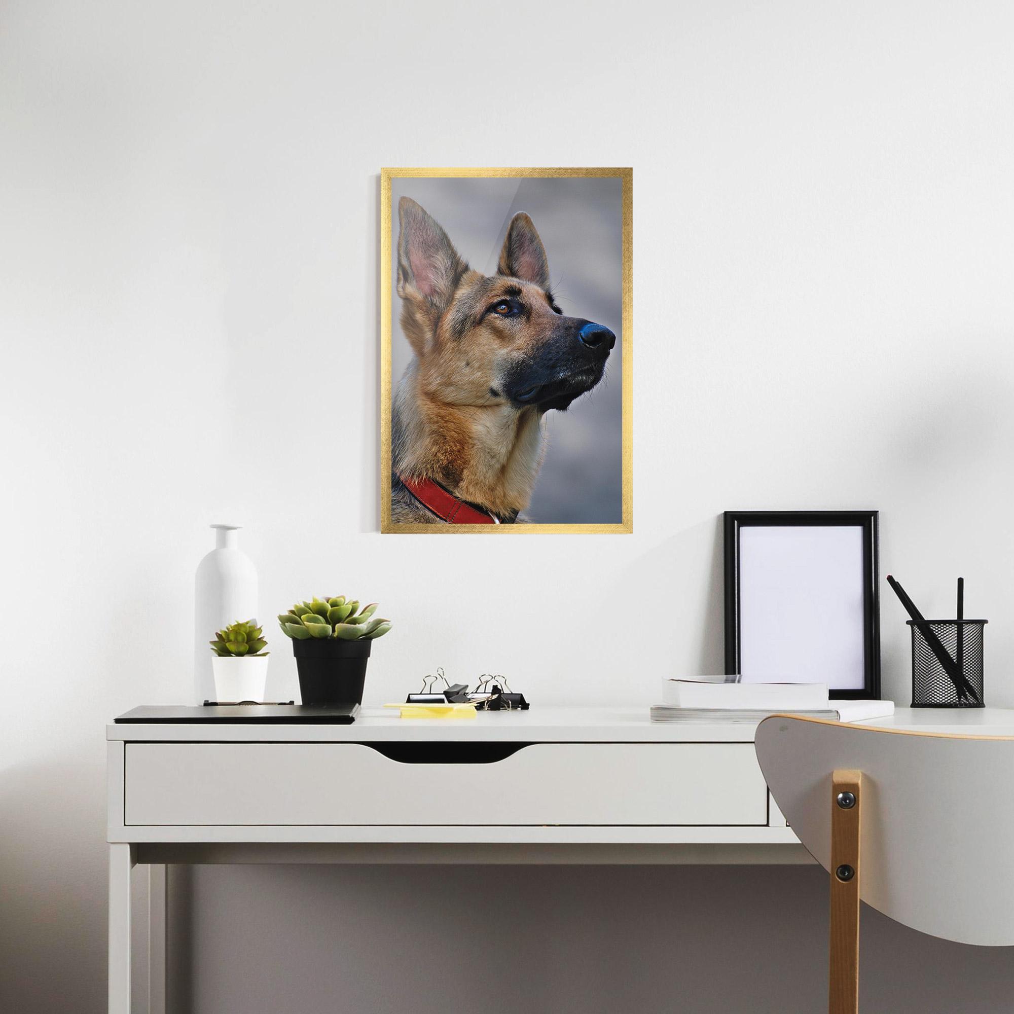 Рамкиран постер German Shepherd mockup 7